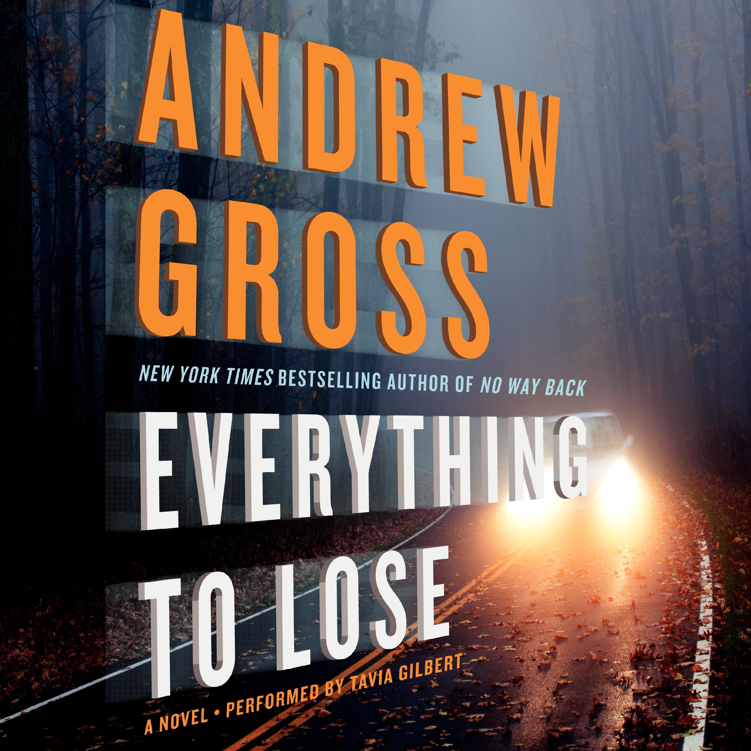 Cover art for Everything to Lose