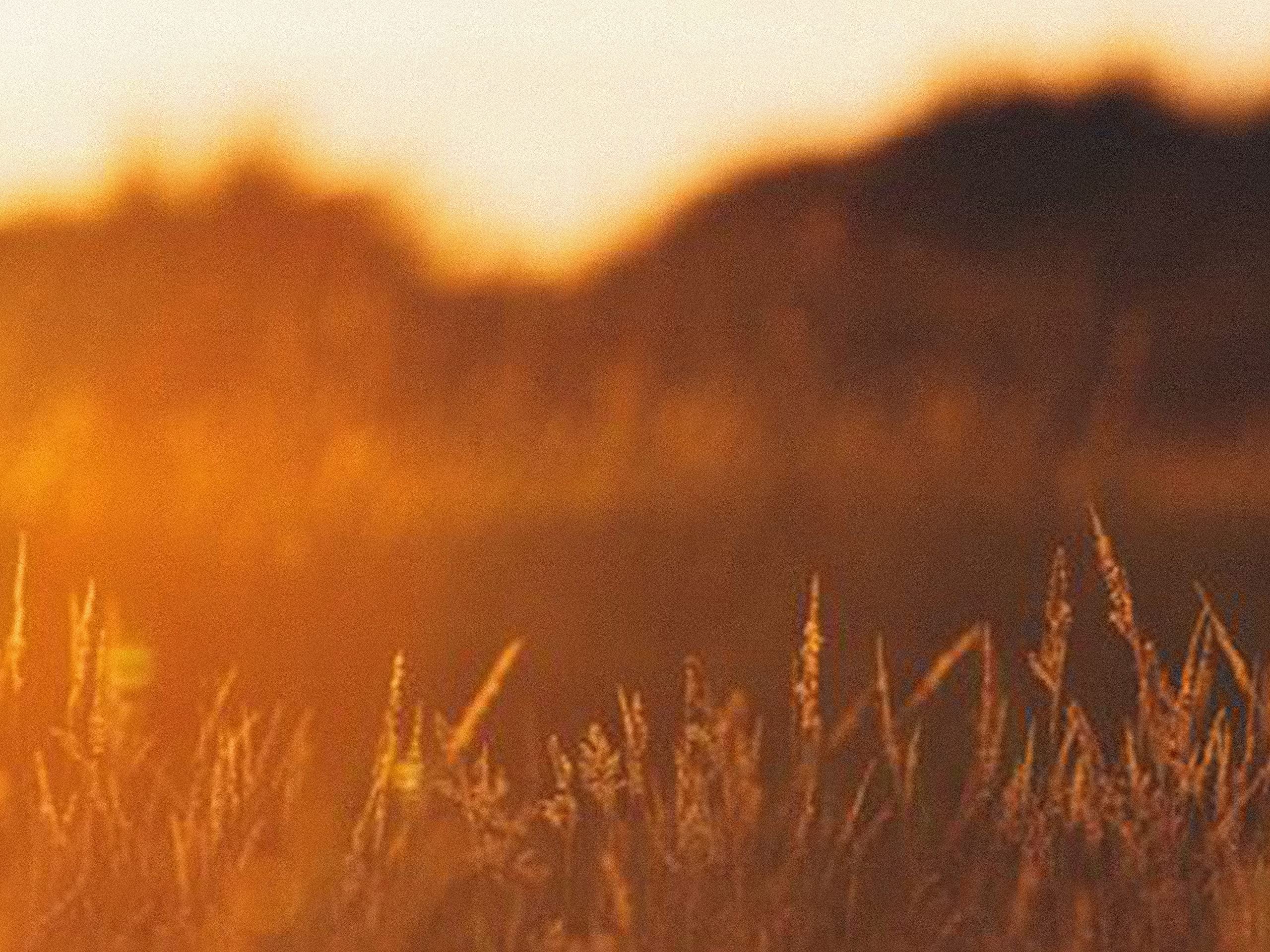 Nacura – Sounds of Nature