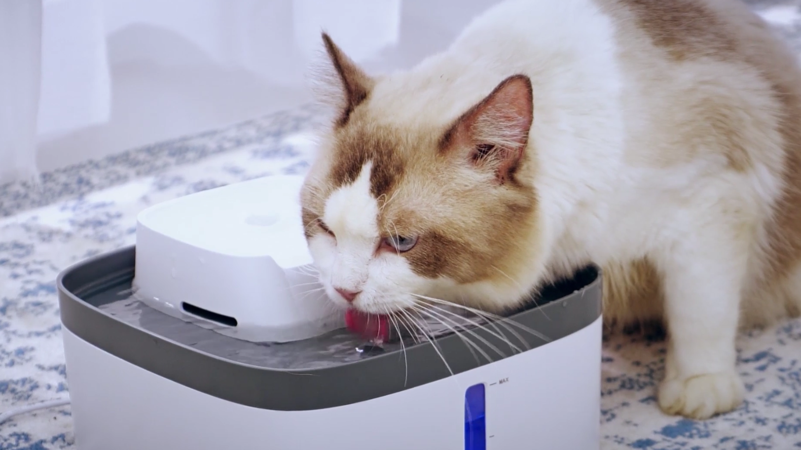 Veken 0.8Gallon/100oz MultiTier Pet Fountain, Automatic Cat Water