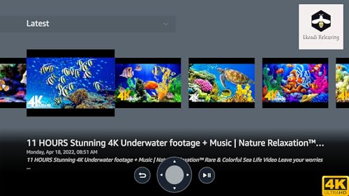 Aquário 4K Deslumbrante Subaquático com Música Relaxante - Recifes de Coral & Vida Marinha Colorida