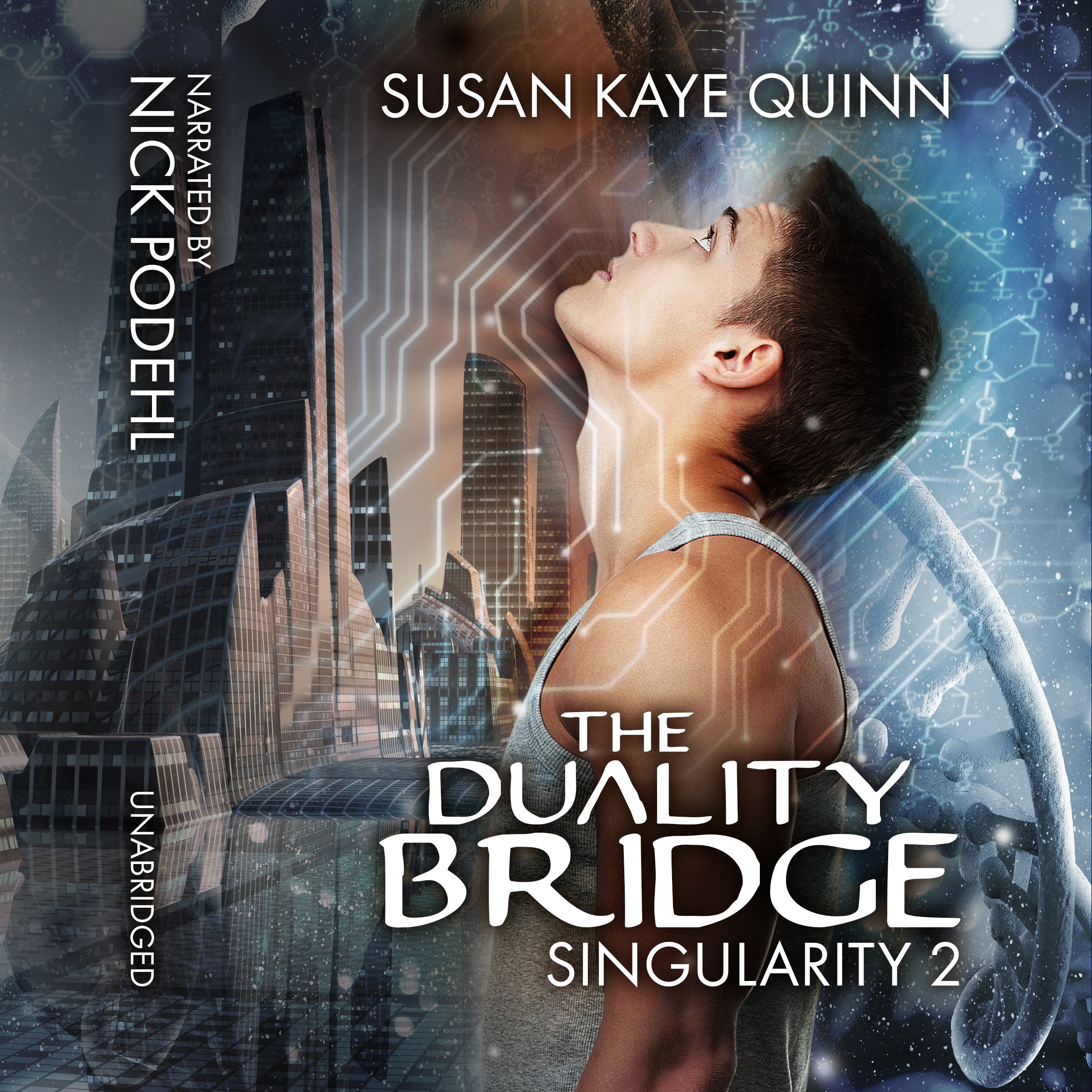 Cover art for The Duality Bridge