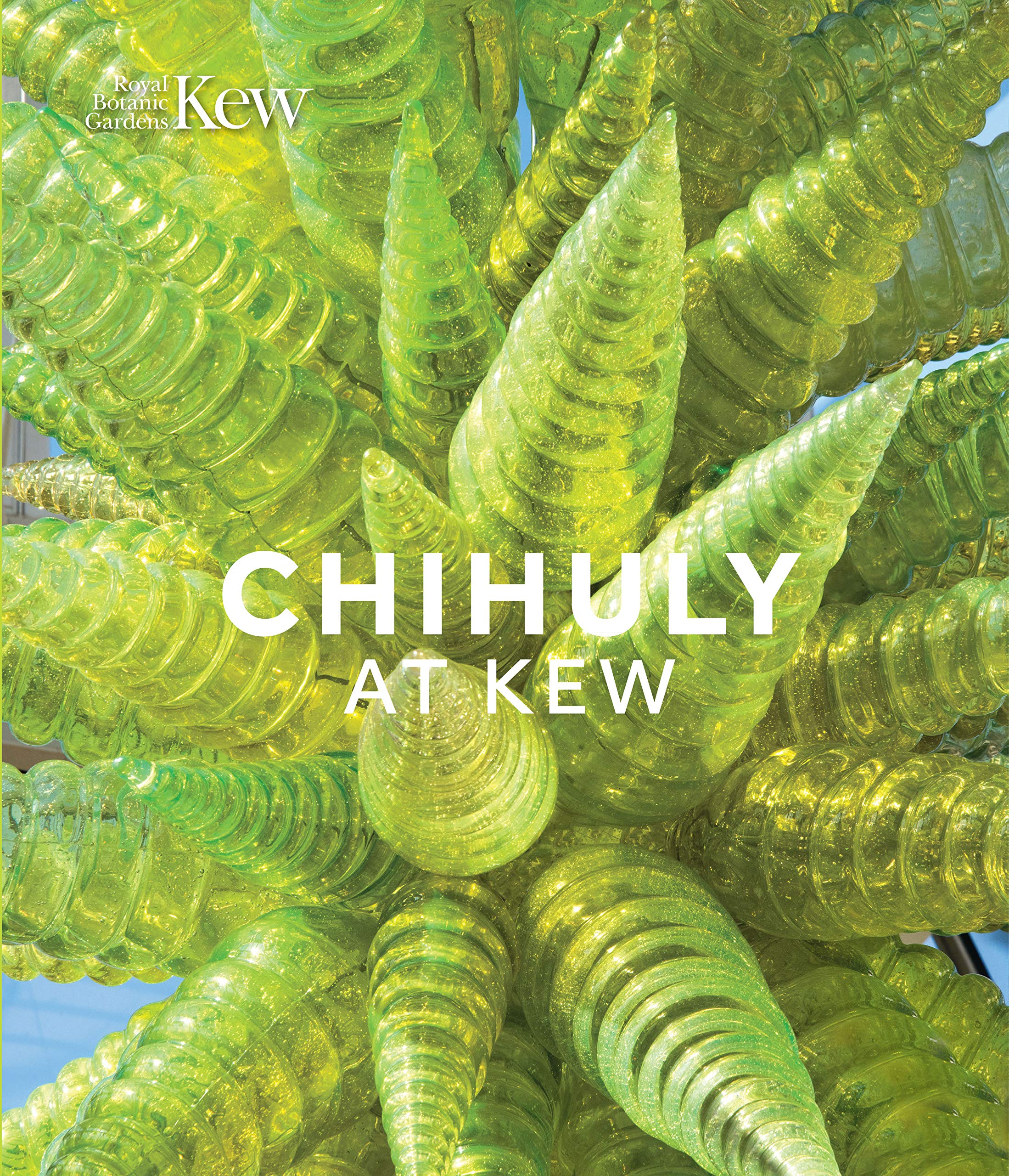 Chihuly at Kew: Reflections on nature,Dale Chihuly,Tim Richardso