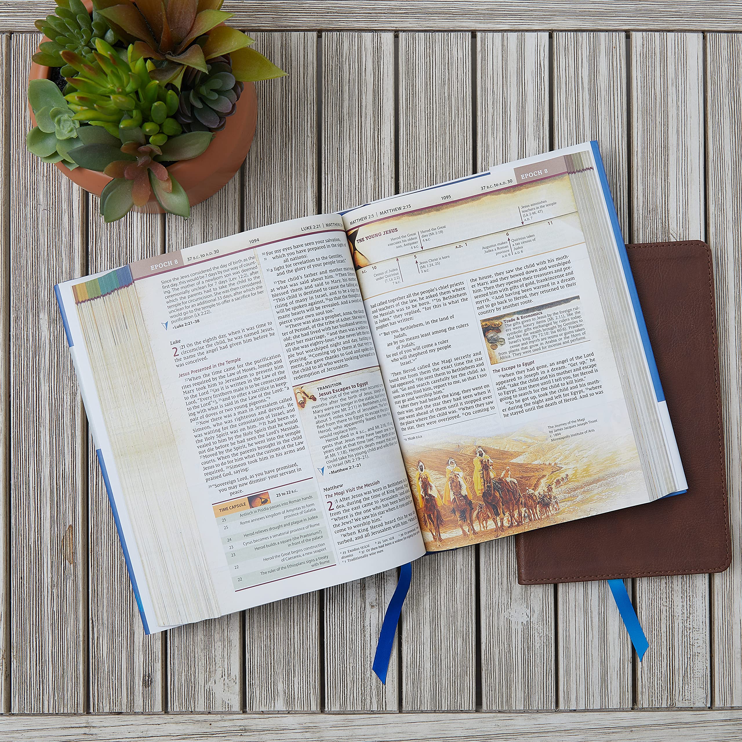 NIV, Chronological Study Bible, Hardcover, Comfort Print: Holy Bible, New International Version