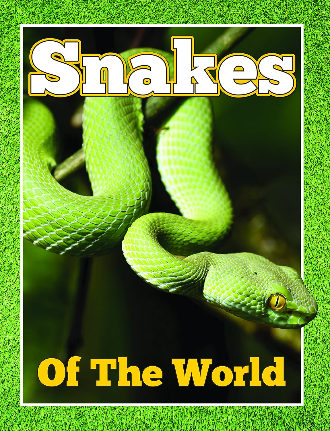 Amazon | Snakes Of The World: From Pythons to Black Mamba (Awesome Kids ...