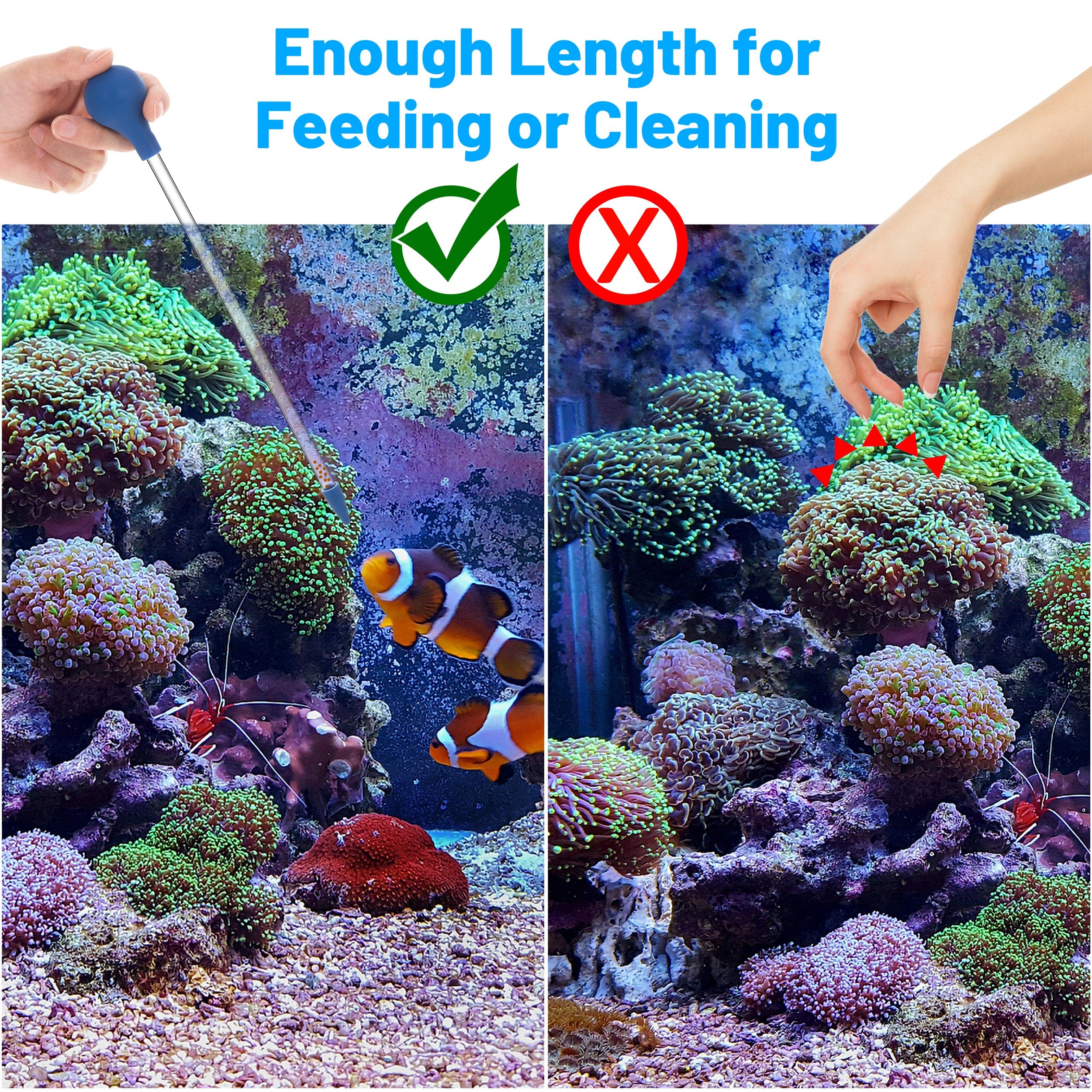 Mangiatoia per Coralli Lungo 30 cm Tubo di Alimentazione in Acrilico per Pesci Marini Pipetta Lunga per la Maggior Parte Degli Organismi d'Acquario 2 Pezzi (Blu)