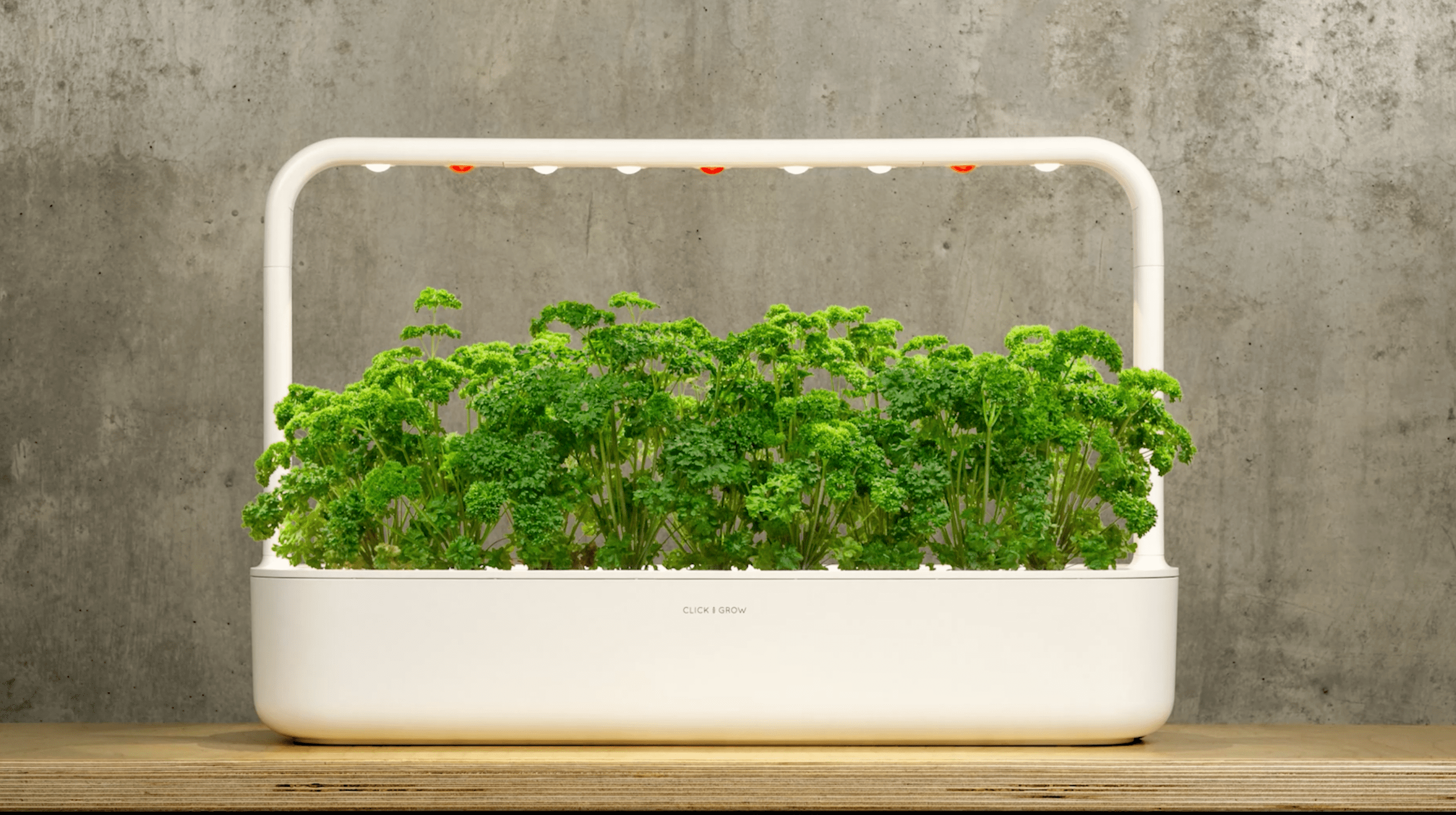Amazon.com: Click & Grow Indoor Herb Garden Kit with Grow Light