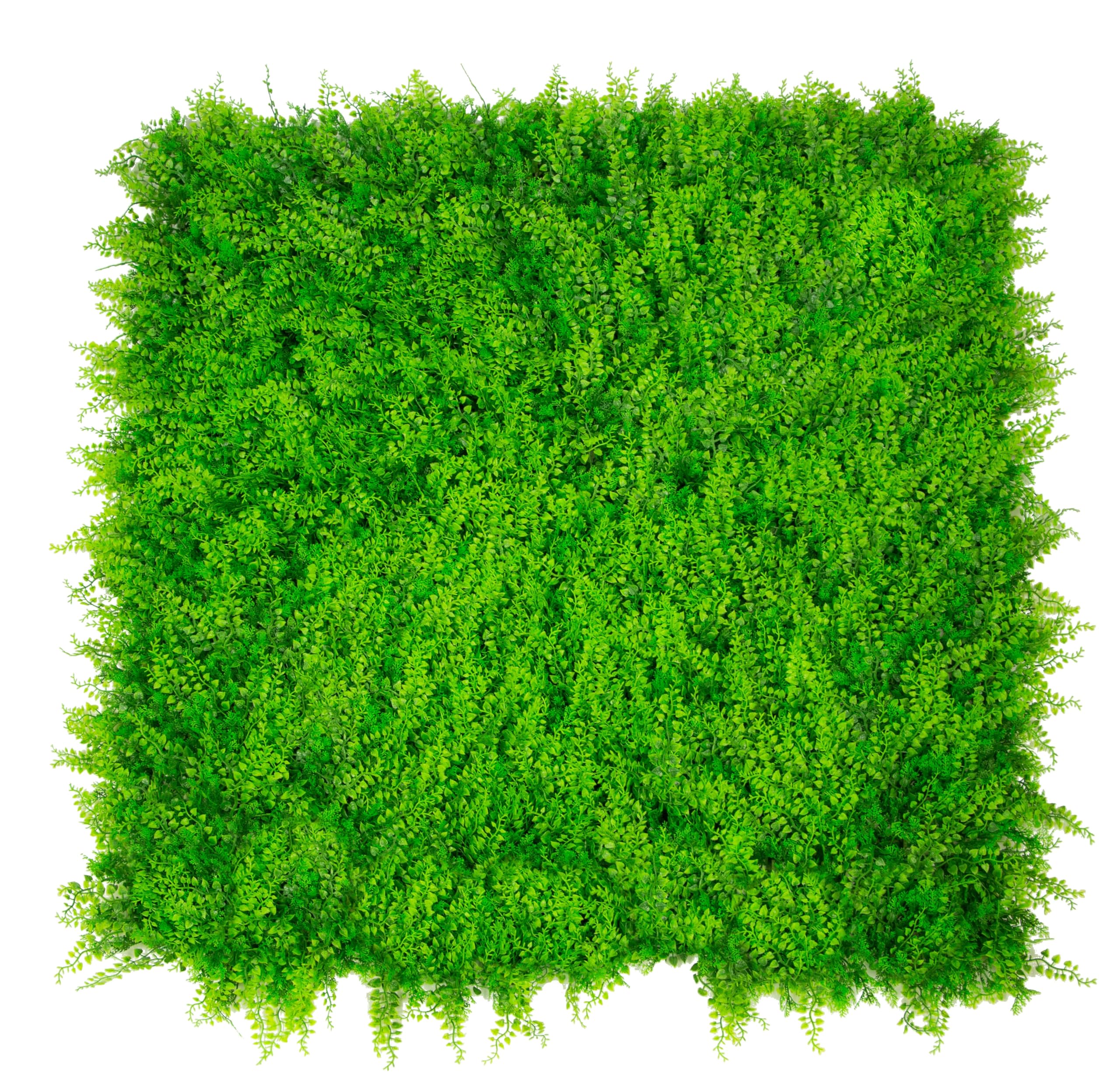 Seto Decorativo, Jardín Vertical/Planta Artificial para decoración de Pared en Interior, Terraza, Jardín o Balcon o Cualquier Espacio | 100 x100 cm (1m2) (Helecho MAX)