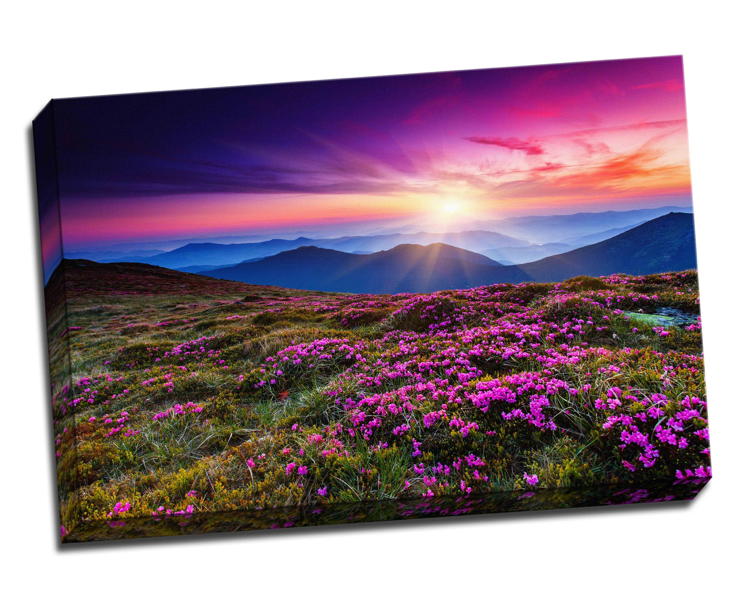 Panther Print Pink Floral Sunset Canvas Art Print Poster 30"X 20" Inches