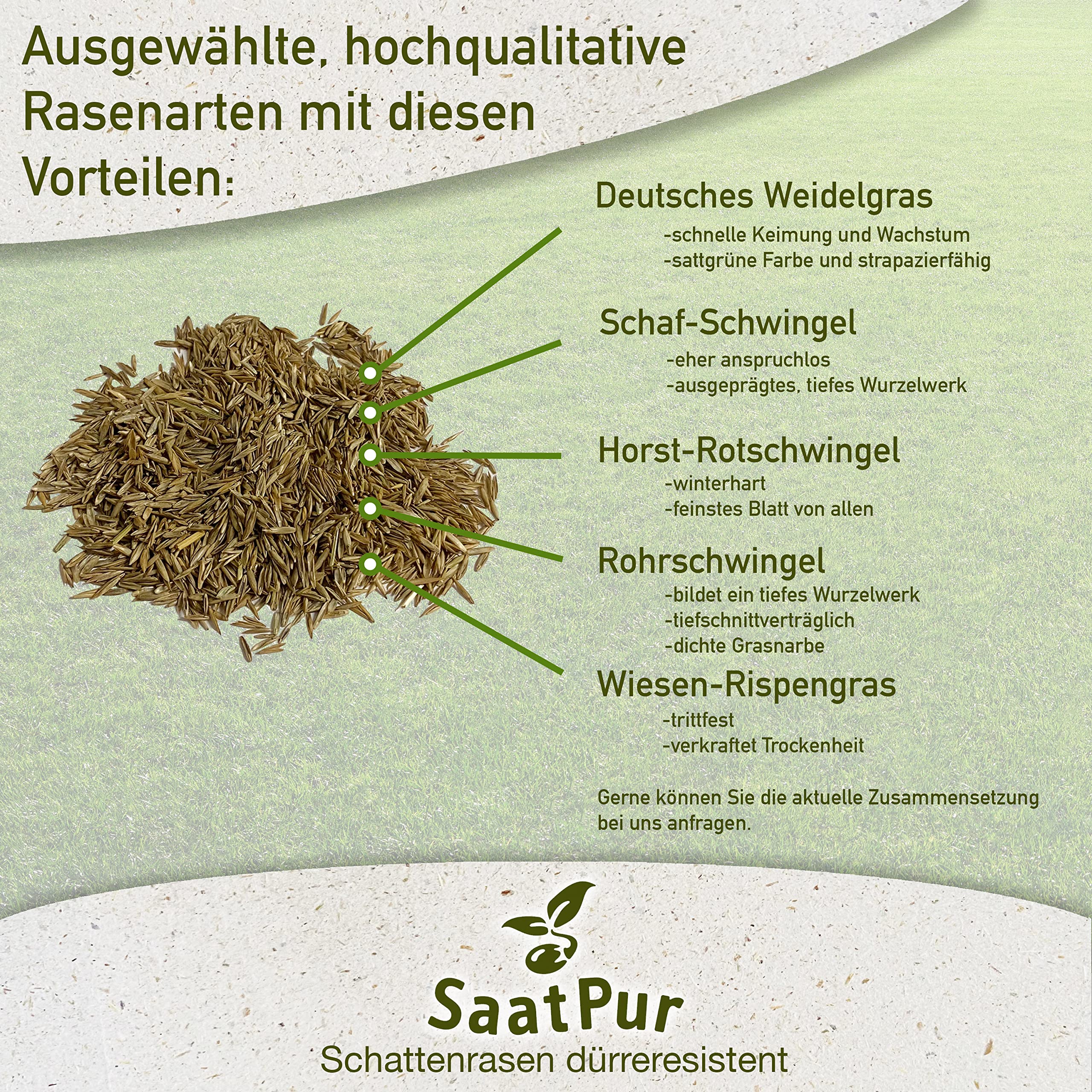 SaatPur® Rasensamen Schattenrasen Dürreresistent 5kg für ca. 150 m², Mehrjährige Rasemischung aus mehreren Rasenarten, meistens 4 bis 5, satt grün, schnellkeimend, hitzetolerant, Neusaat und Nachsaat