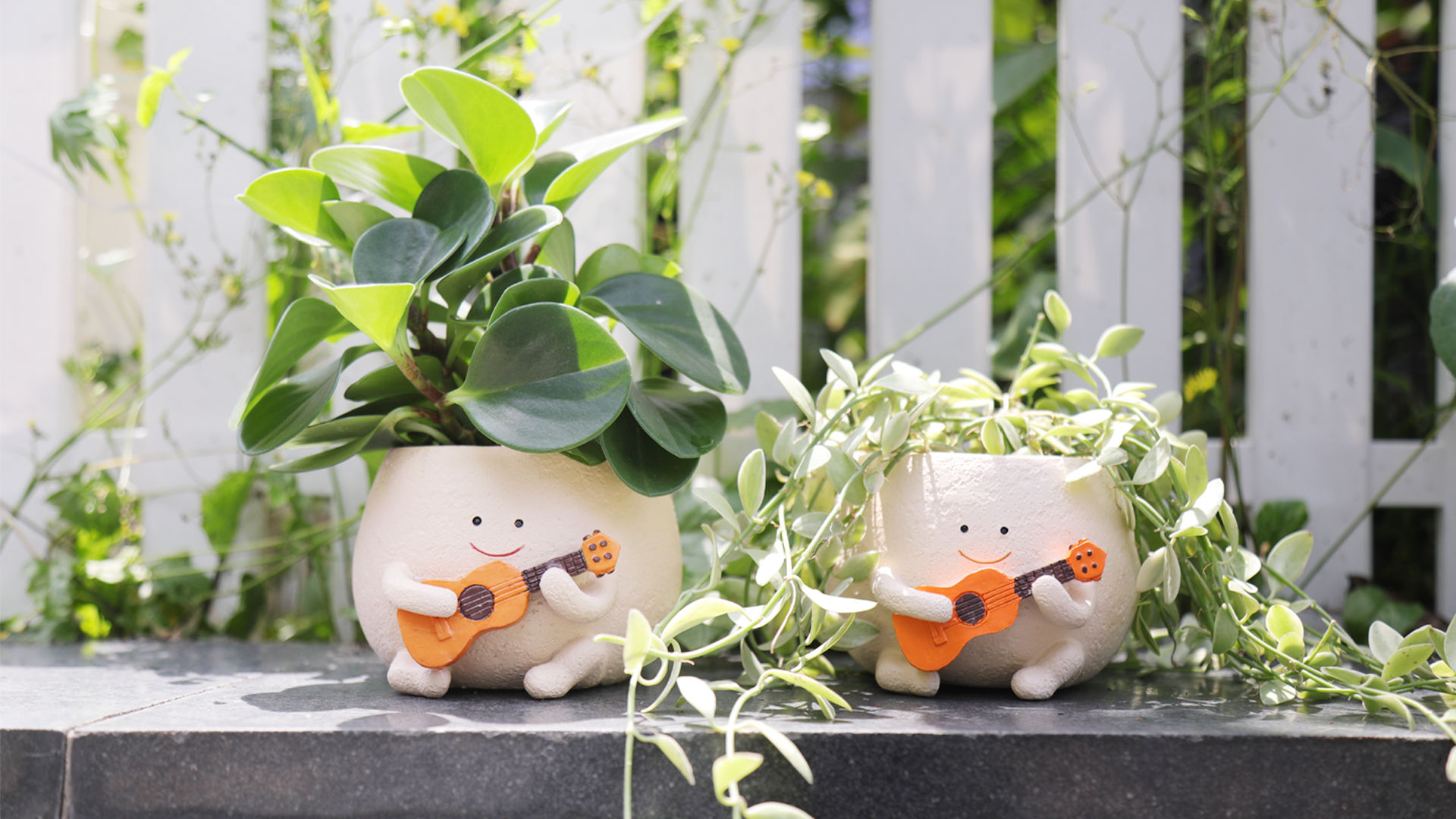 Amazon.com : UMESONG Smily Face Planter Pot with Drainage Hole