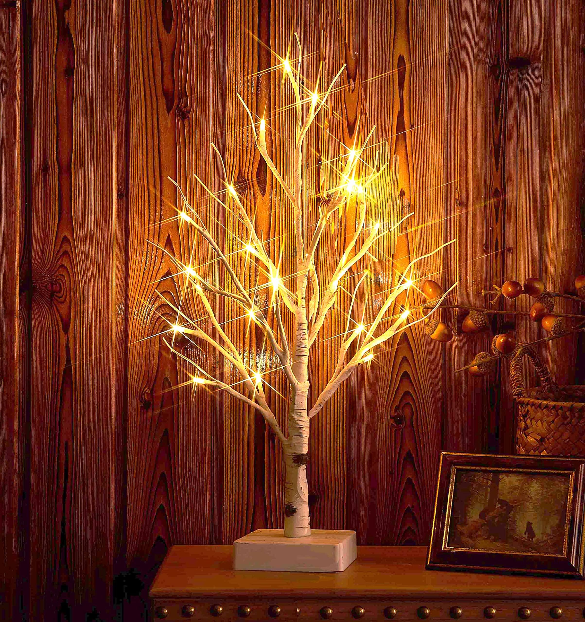 Hairui Lighted Birch Tree with Timer 24 LED 18IN Battery Operated Pre-lit Tree for Home Wedding Party Decoration Tabletop Centerpiece Inside