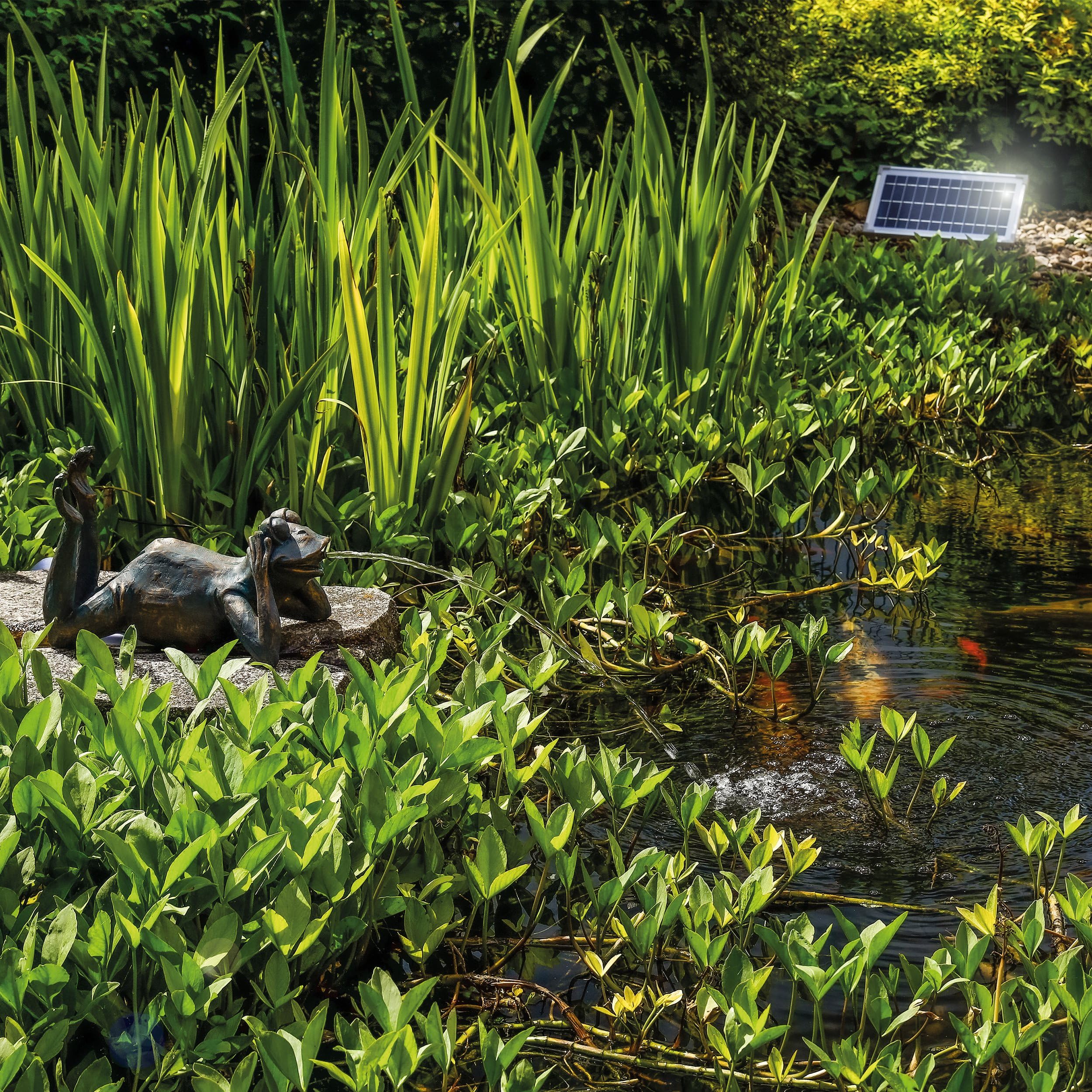 Esotec Solar Wasserspeier Frosch Komplettset, Solar Springbrunnen für Außen, Solarbrunnen mit Solarpumpe 380l/h, Solarmodul 8Wp, Teichfigur Polyresin 34x21x23,5cm 101650