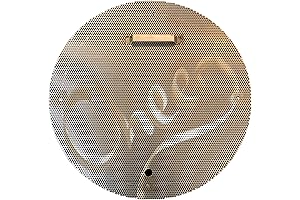 SS BrewTech False Bottom for 10 Gallon Kettle