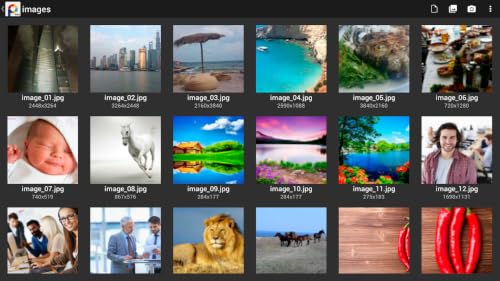 PhotoSuite Free 4 – vue 6