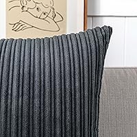 Vista 48 de UGASA - Juego de 2 fundas de almohada de terciopelo a rayas, funda decorativa para cojín con cremallera oculta para el hogar, sofá, dormitorio