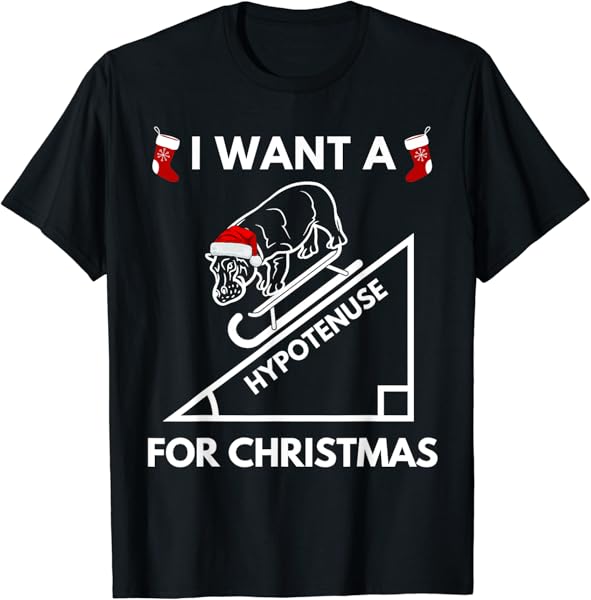 I Want A Hypotenuse For Christmas - Math Teacher, Xmas Hippo T-Shirt