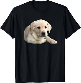 Amazon Com Adorable Yellow Lab Puppy T Shirt Clothing Shoes Jewelry Amazon Com Adorable Yellow Lab Puppy T Shirt Clothing Shoes Jewelry