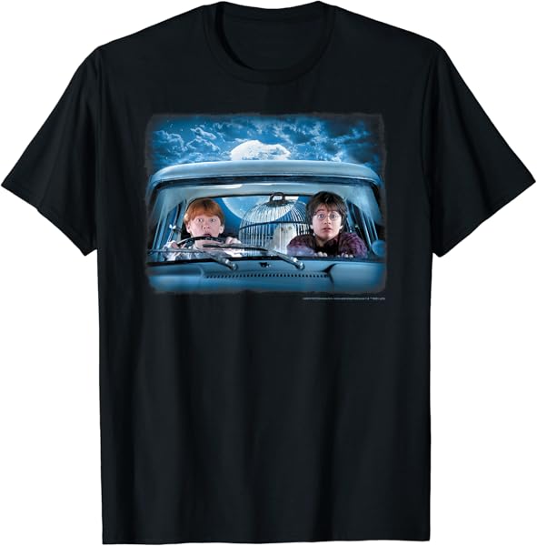 Harry Potter Ron & Harry In The Flying Car T-Shirt