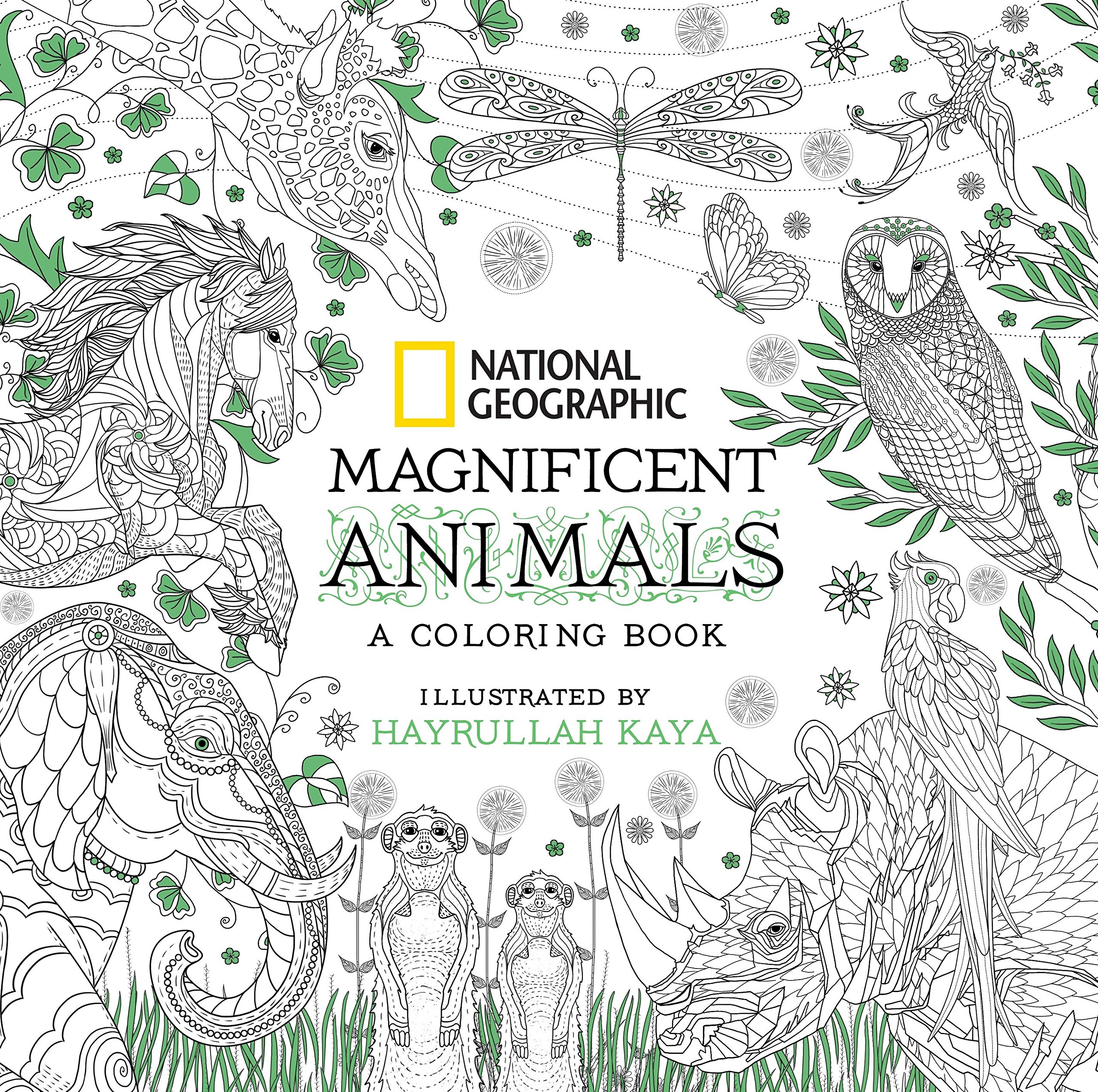 National Geographic Magnificent Animals