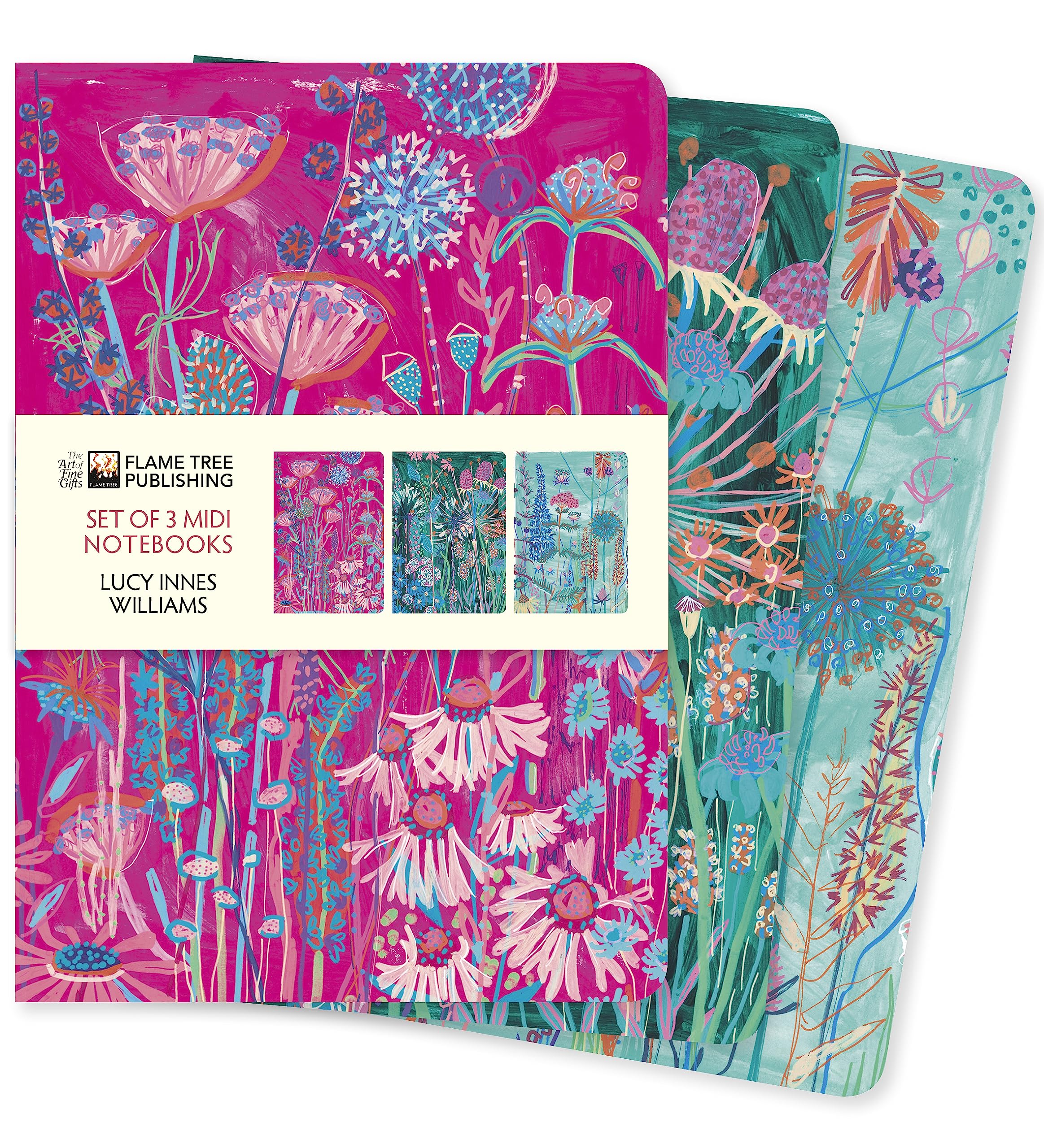 Lucy Innes Williams Set of 3 Midi Notebooks (Midi Notebook Collections)