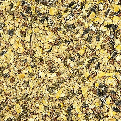 Miniatura 9 de Kaytee Alimento supremo para hámster y jerbo, 2 libras