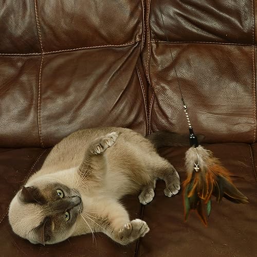 Miniatura 3 de El juguete natural para gatos de la empresa Pet incluye 3 recambios de plumas estas plumas naturales están garantizadas para conducir a su gato