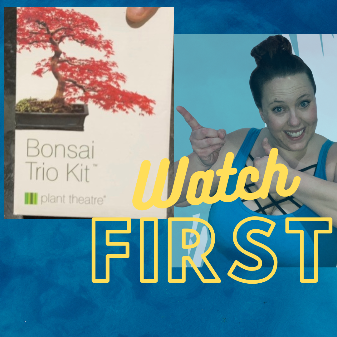 Watch Look at what is inside the Bonsai Trio Kit on Amazon Live