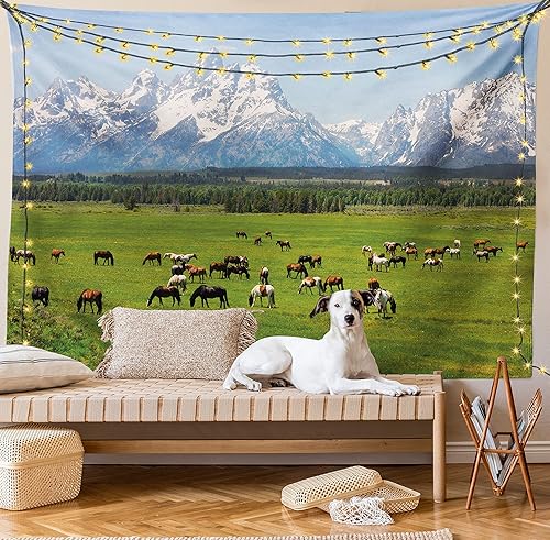 Ambesonne Tapiz de caballo, parque nacional Grand Teton, montañas nevadas, árboles verdes frescos, animales, para colgar en la pared para