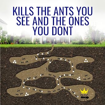 TERRO 1 oz Liquid Ant Killer - Attract and Kill Household Ants - Indoor Ant Killer - T100-12, Works Fast