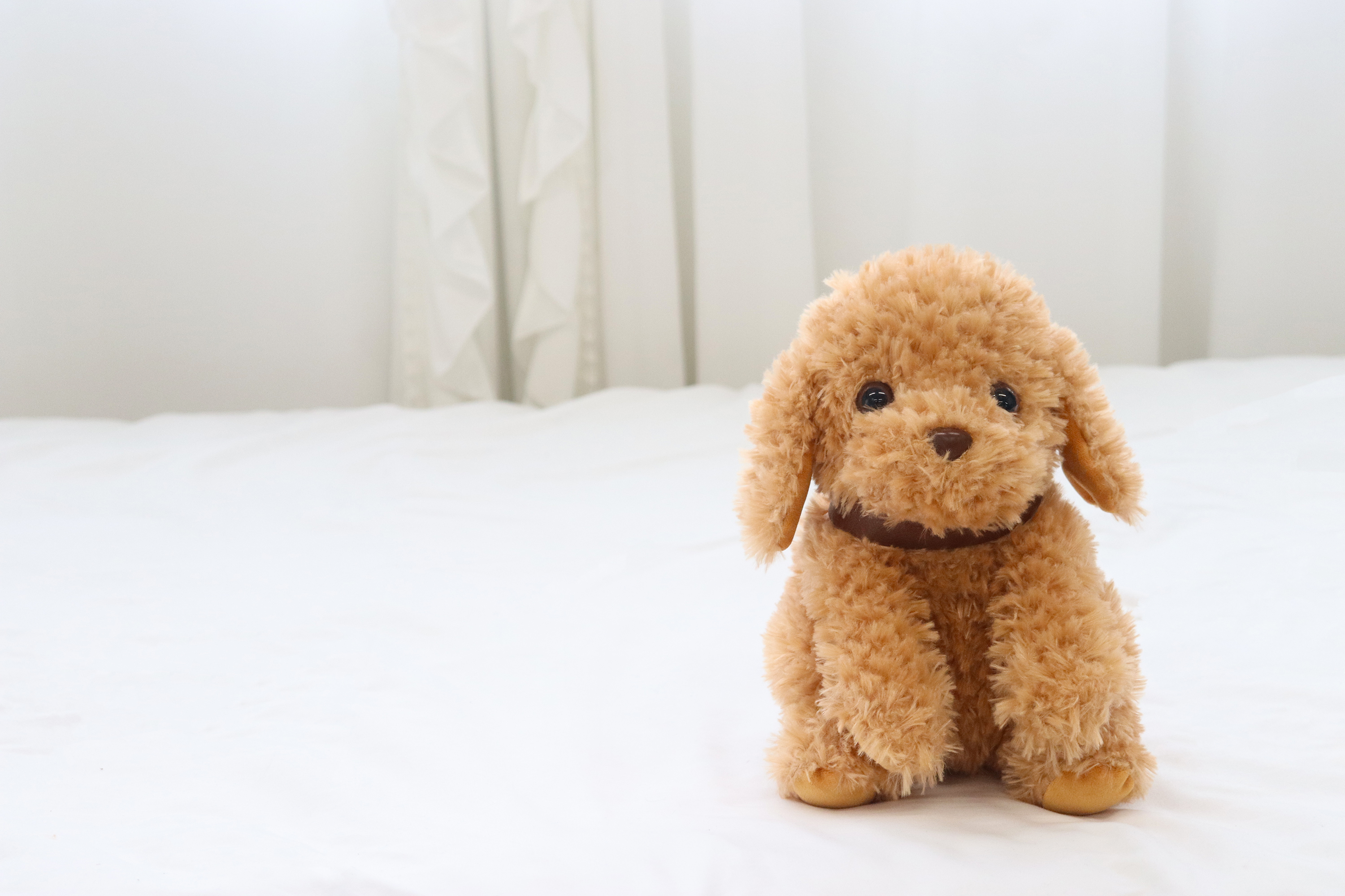 Amazon.co.jp: 大人向け 音声認識 ぬいぐるみ 【 おしゃべりトイ