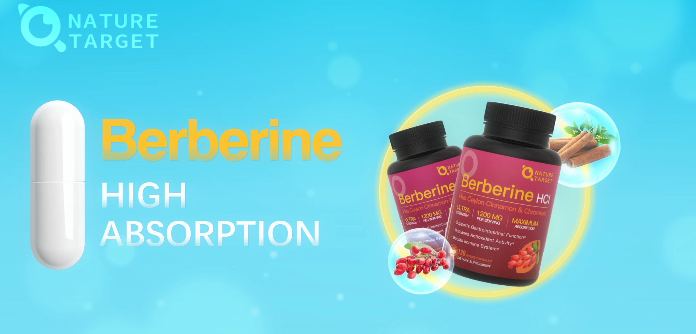 Amazon.com: NATURE TARGET Berberine Supplement with Ceylon