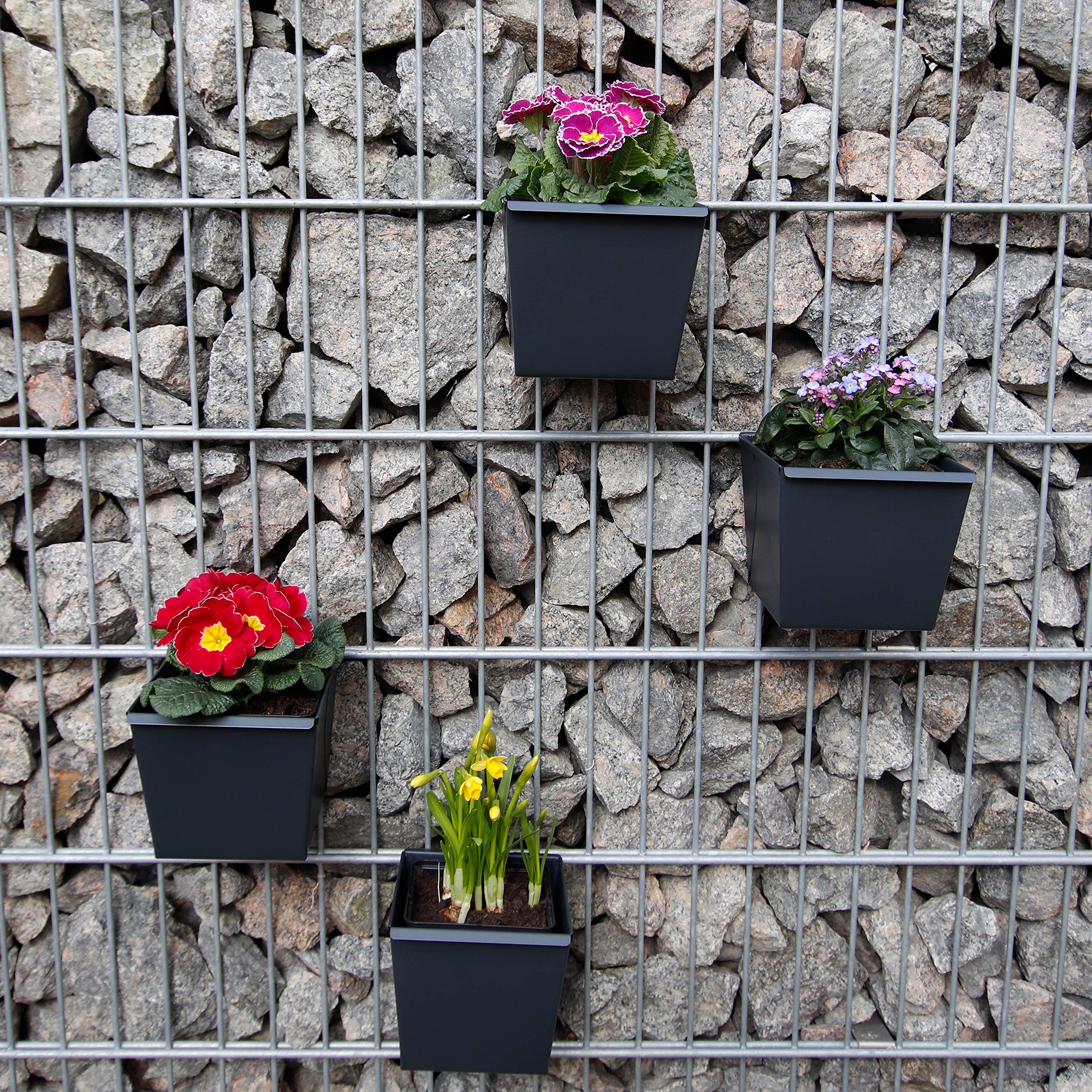 Gabioka flowerbox small (4, anthrazit bepulvert) Blumenkasten/Gewrzlinge/Gartendeko/Pflanzkasten  fr Gabionen und Zune aus Doppelstabmatten : Amazon.de: Garten
