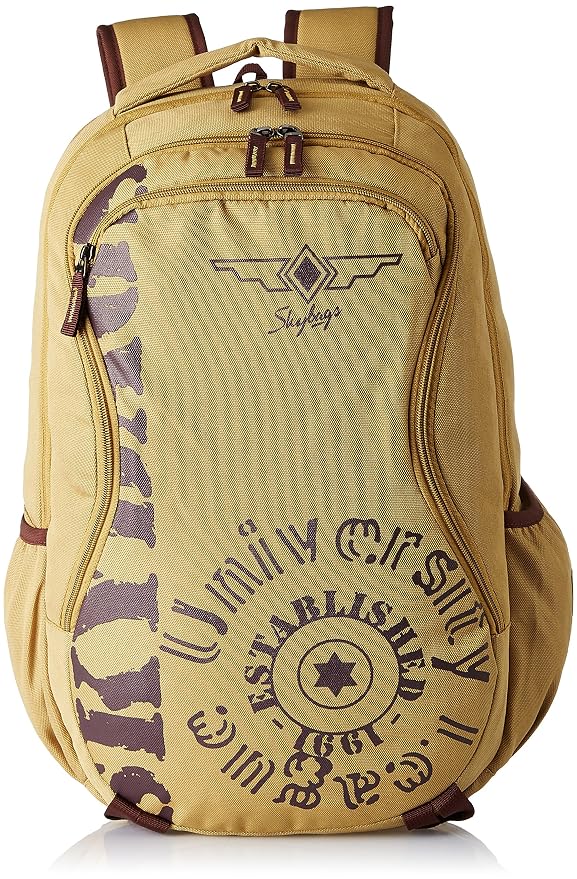 Buy Skybags Raider 25 Ltrs Brown Casual 