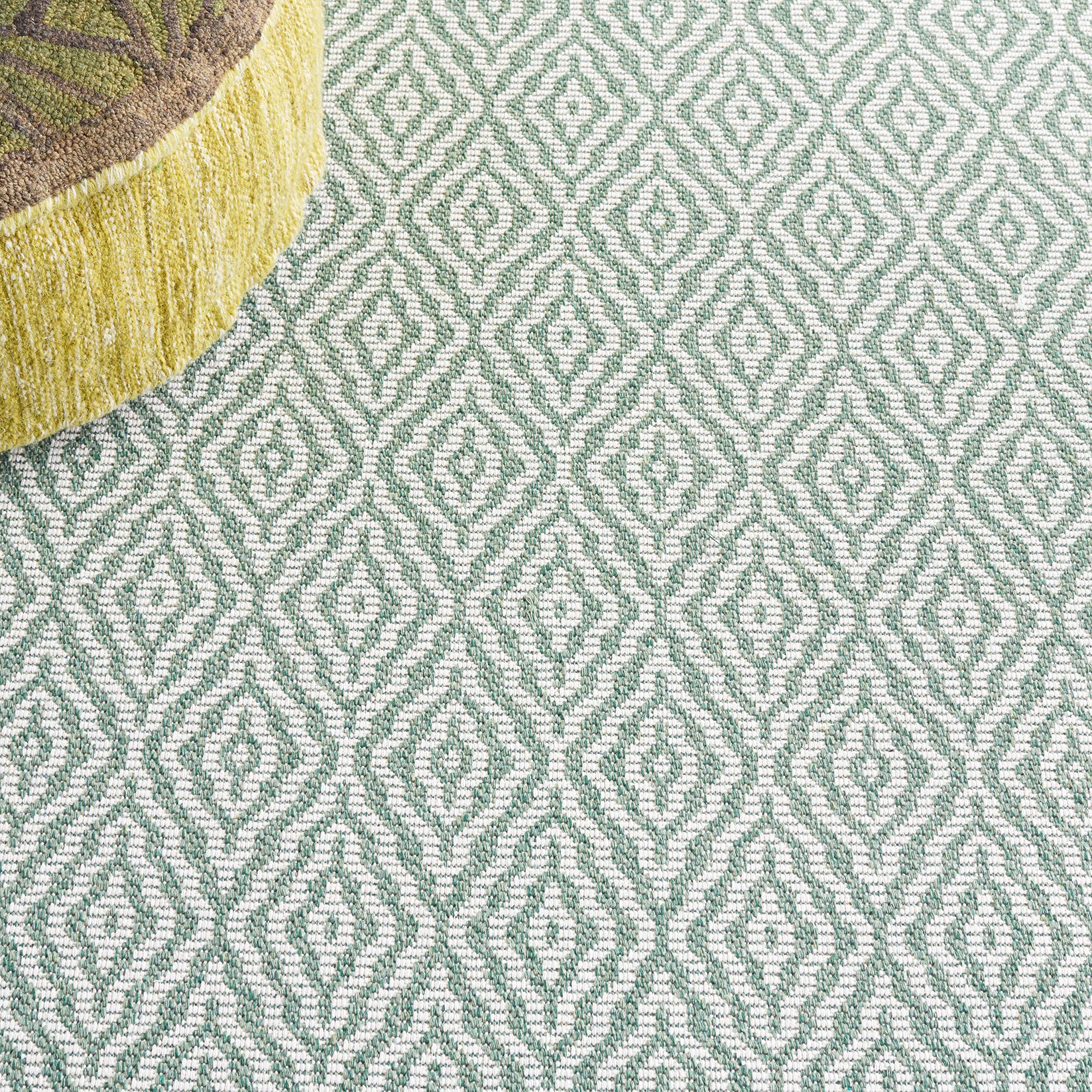 Amazon.com: MARTHA STEWART x SAFAVIEH 5' x 7' Green/Ivory