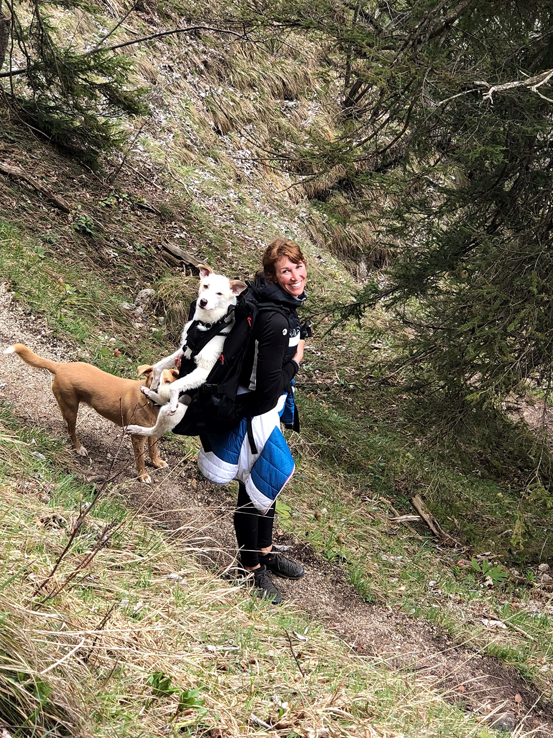 Mochila para perros XXL patentada, para perros macizos, compactos y fuertes de 16-30 kg de peso con sistema de transporte de 4 correas patentado