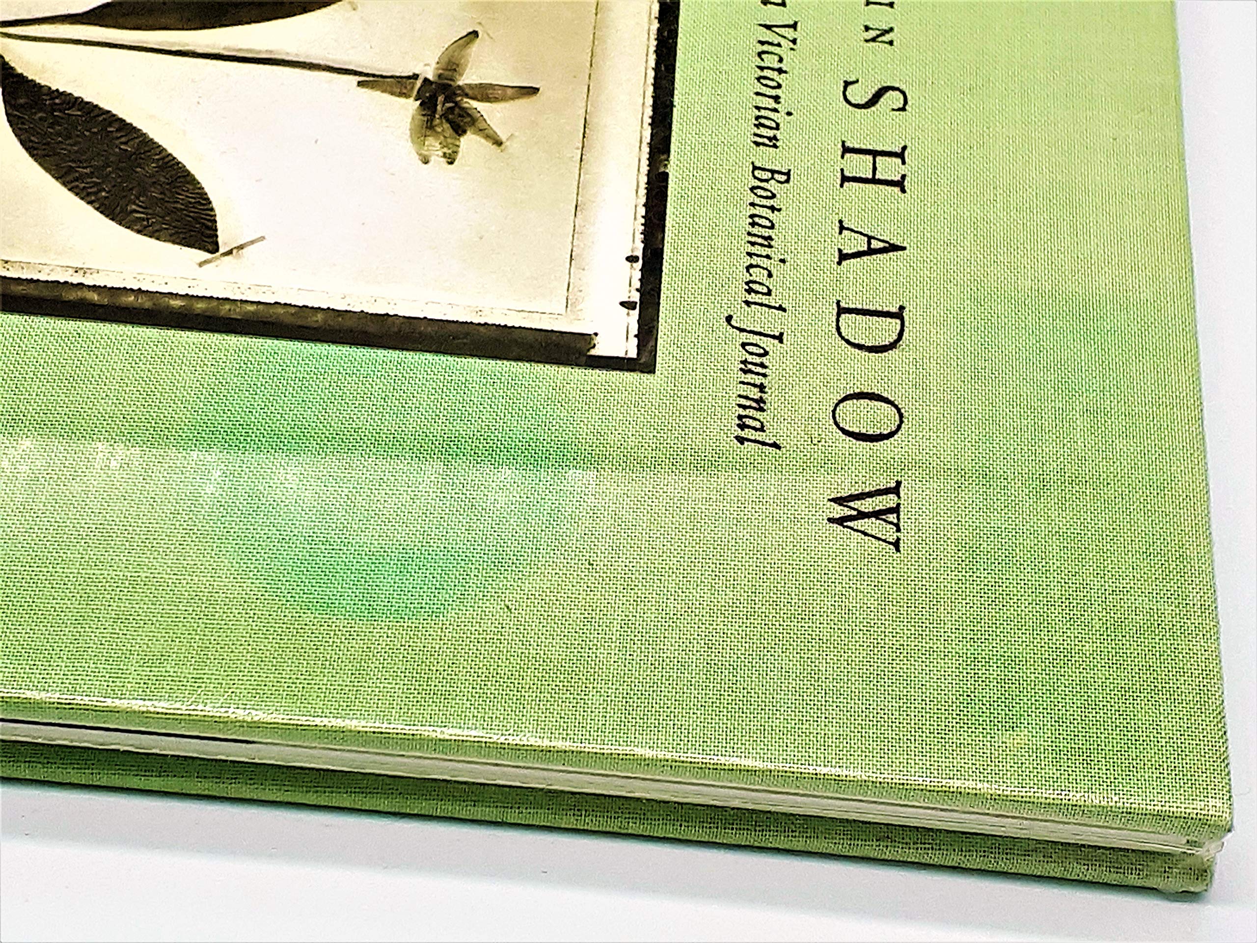 Amazon.co.jp: Zeva Oelbaum: 本、バイオグラフィー、最新アップデート