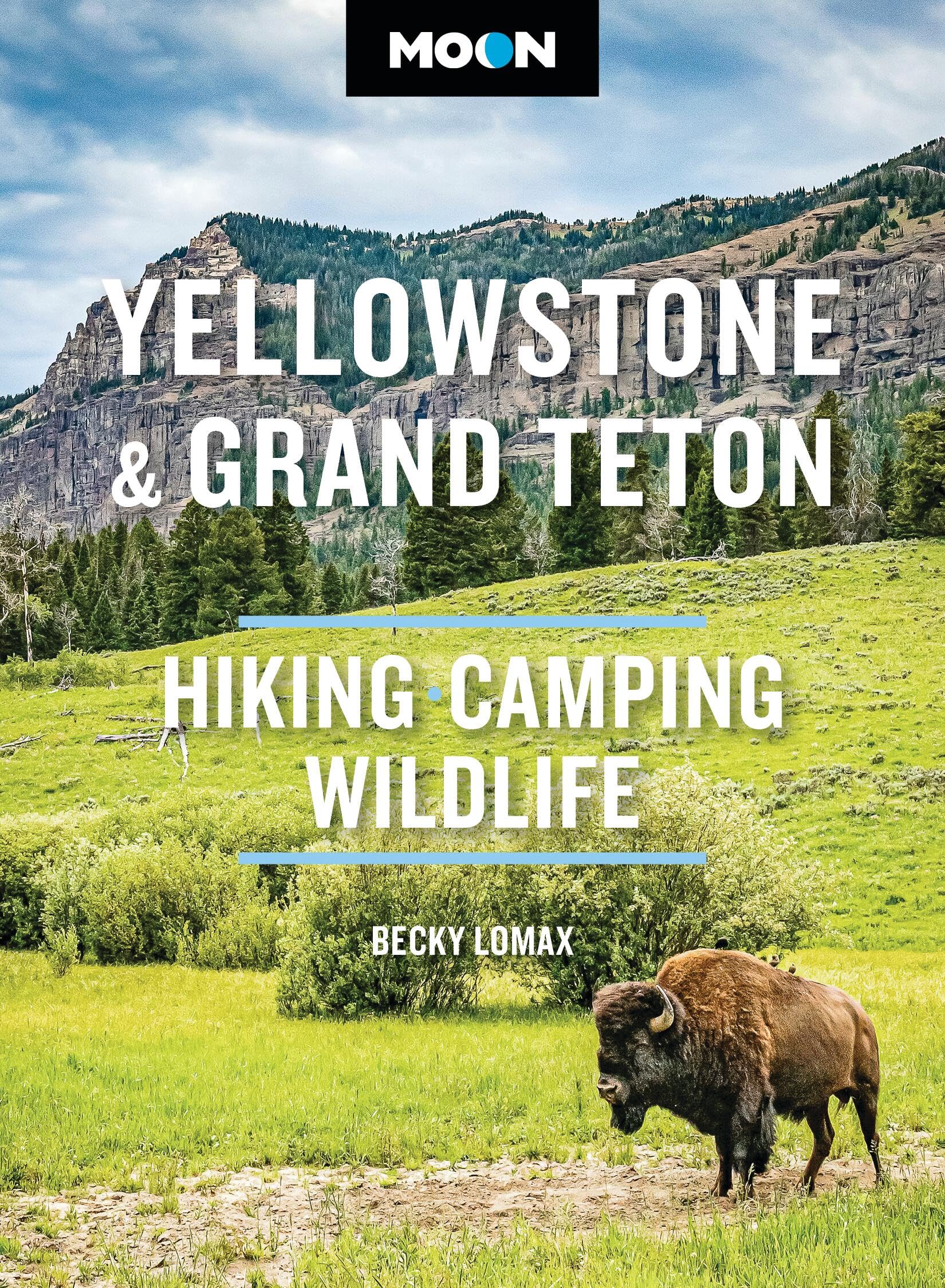 Moon Yellowstone & Grand Teton (Twelfth Edition): Hiking, Camping, Wildlife