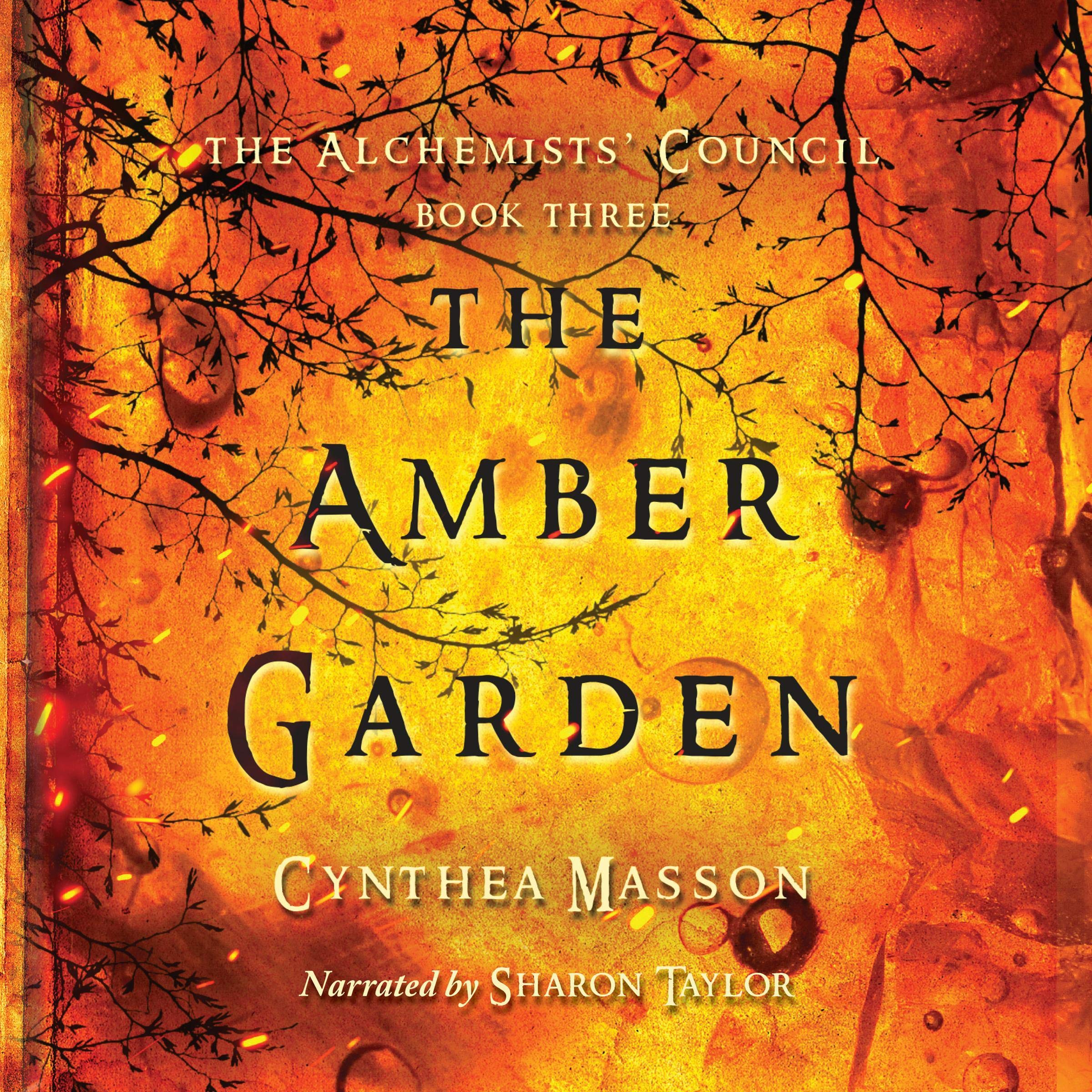 Cover art for The Amber Garden