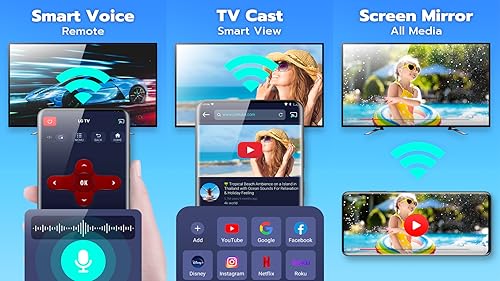 Universal TV Remote Control