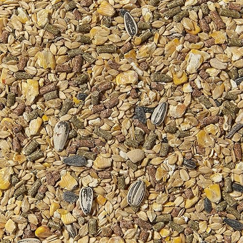 Miniatura 3 de Kaytee Alimento supremo para hámster y jerbo, 2 libras