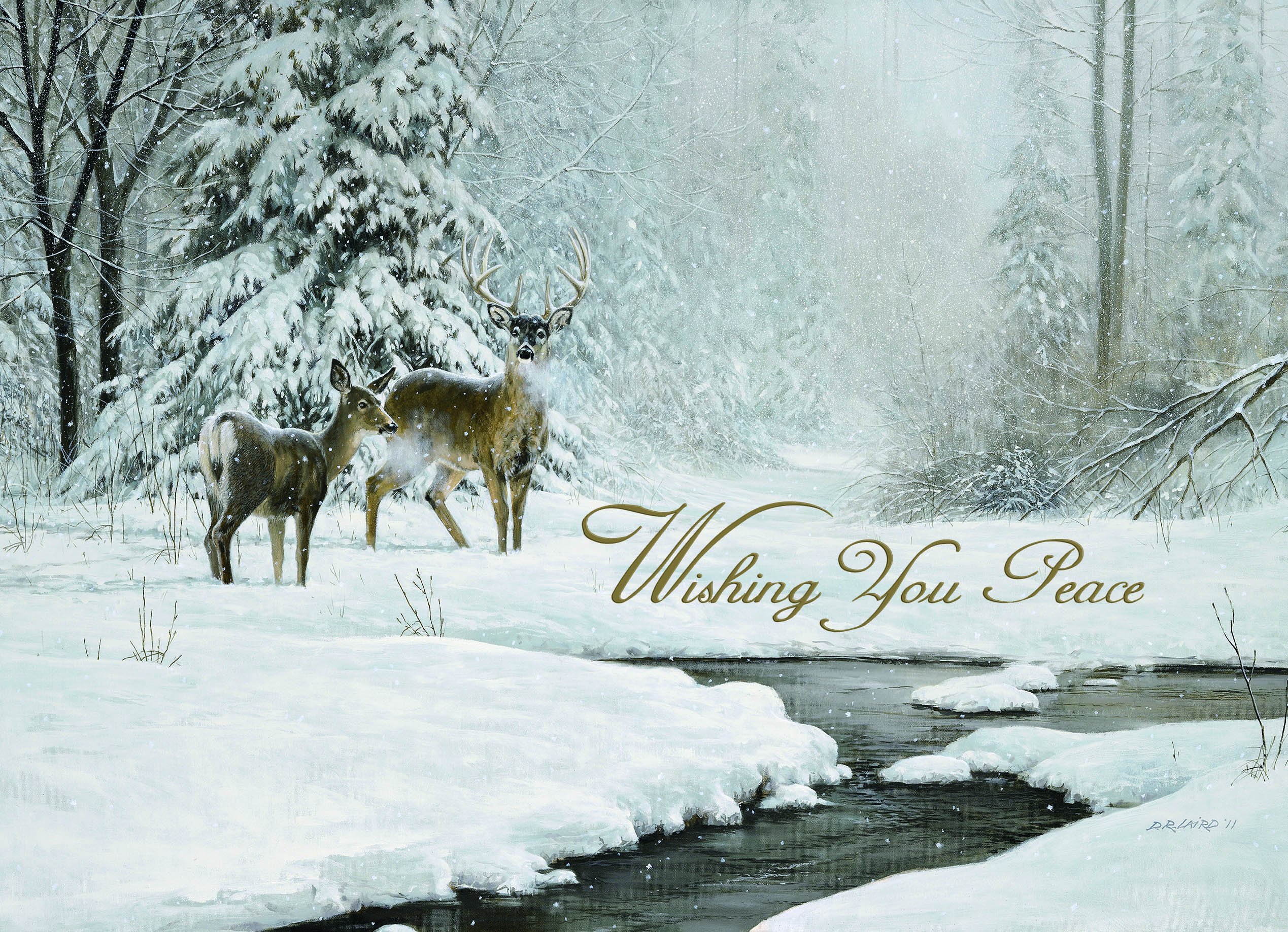 Performing Arts Birdhouse Premium Christmas Cards - 18