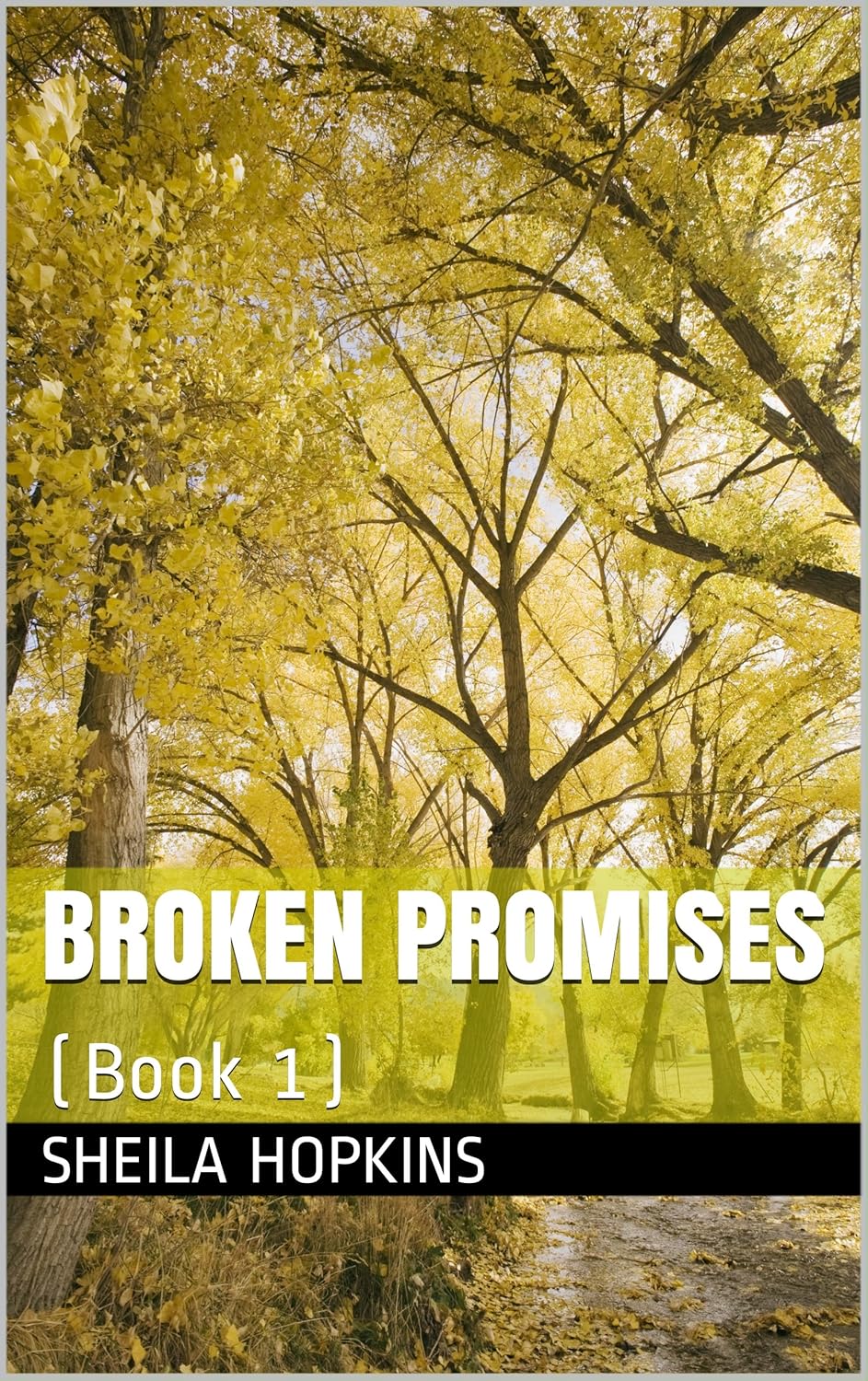 Broken Promises (Book 1) eBook Hopkins, Sheila Amazon.ca Kindle Store
