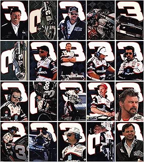 1994 Action Packed - Richard Childress Racing 20 Card Hand Collated Set - coolthings.us
