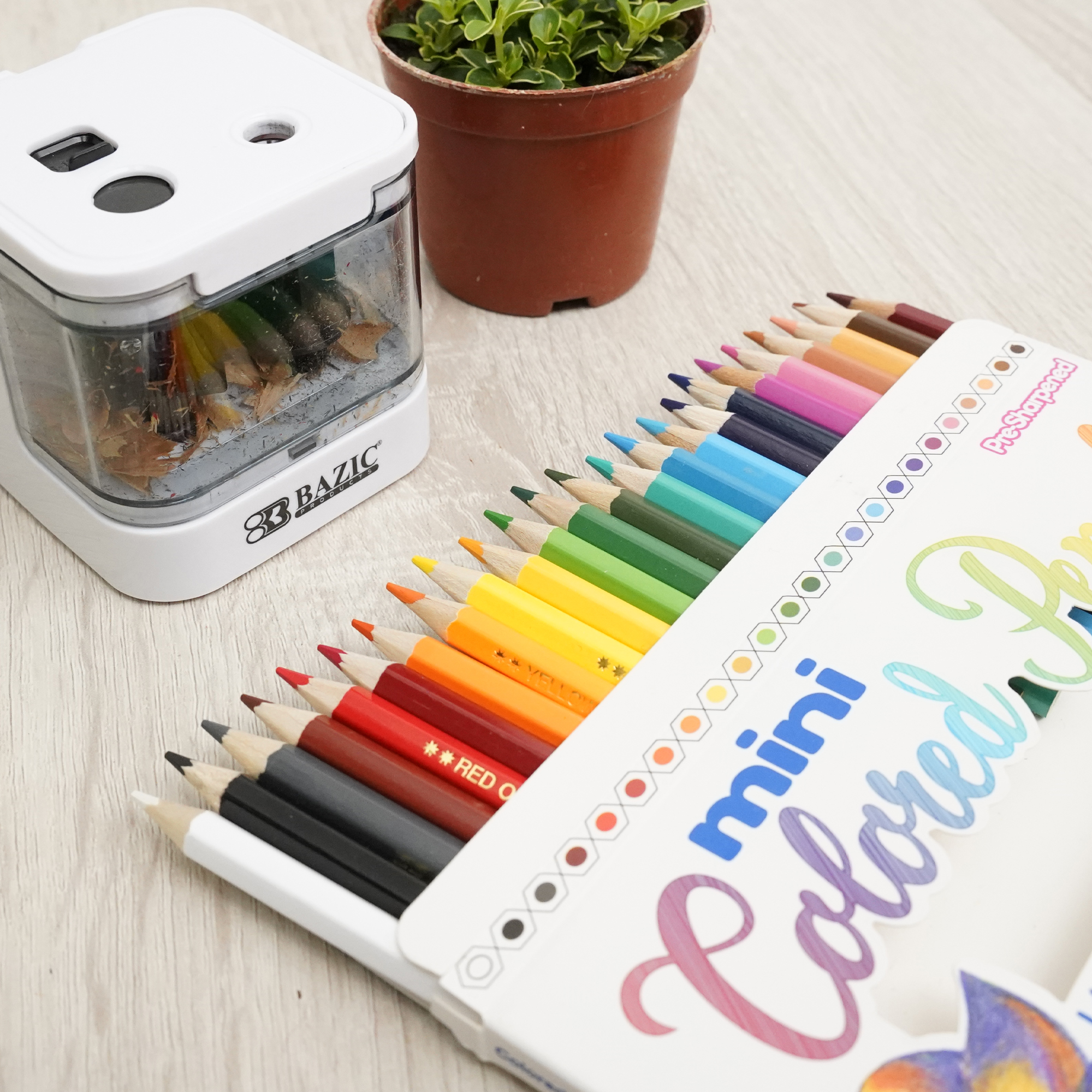 Amazon.com : BAZIC 24 Mini Color Pencil, Assorted Colors Pencils