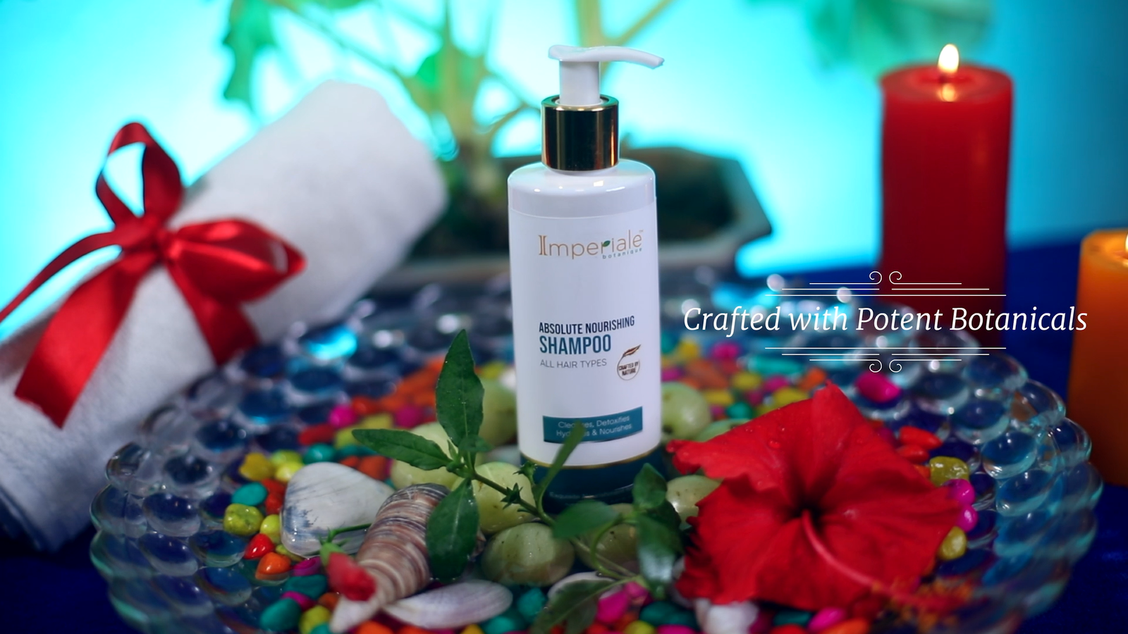Buy Absolute Nourishing Hair Shampoo | Anti Dandruff Shampoo for