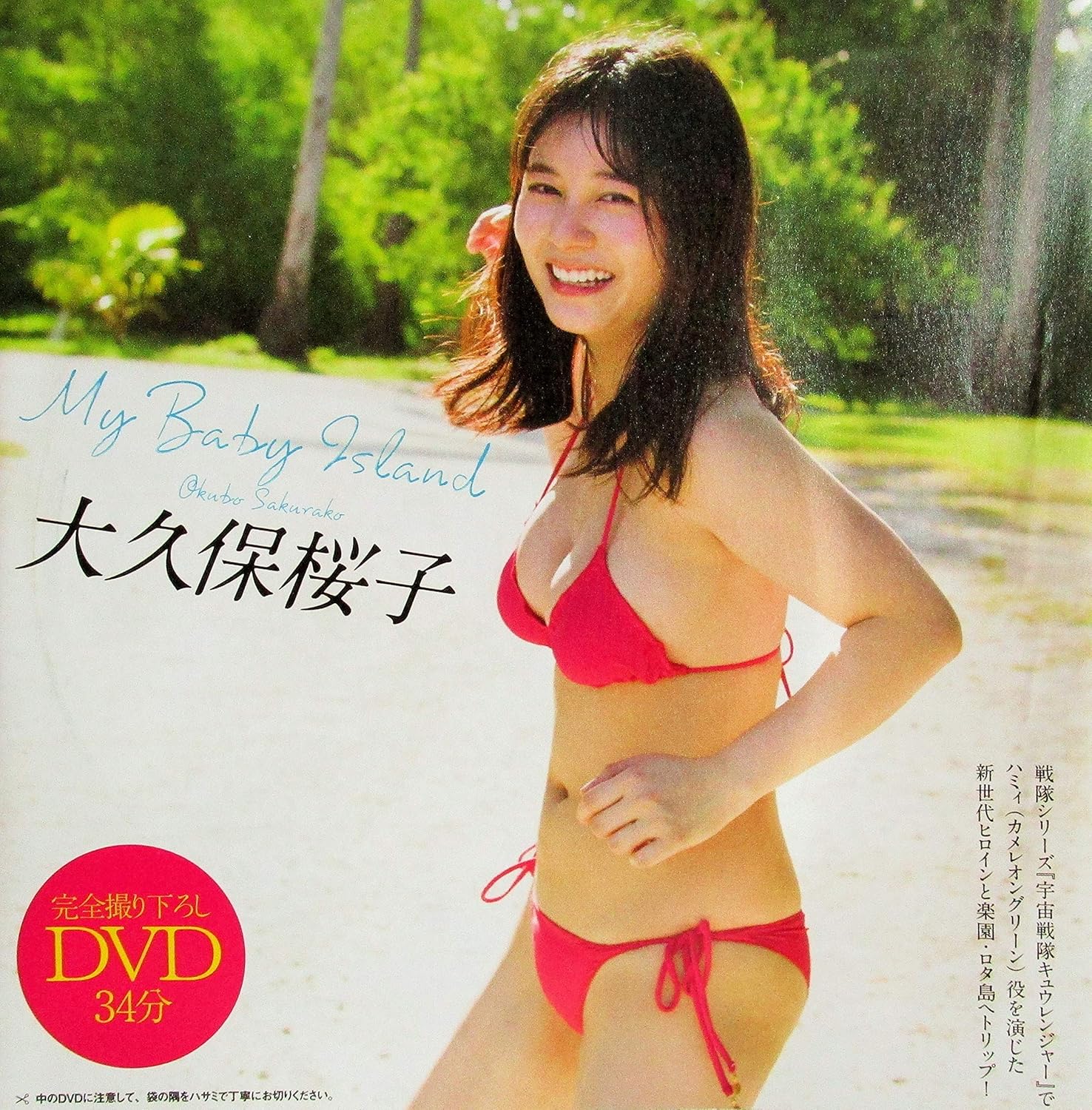 週刊プレイボーイ　アイドルセット 週プレnet 特別 DVD 雑誌付録 / グラビアアイドル イメージ 週刊