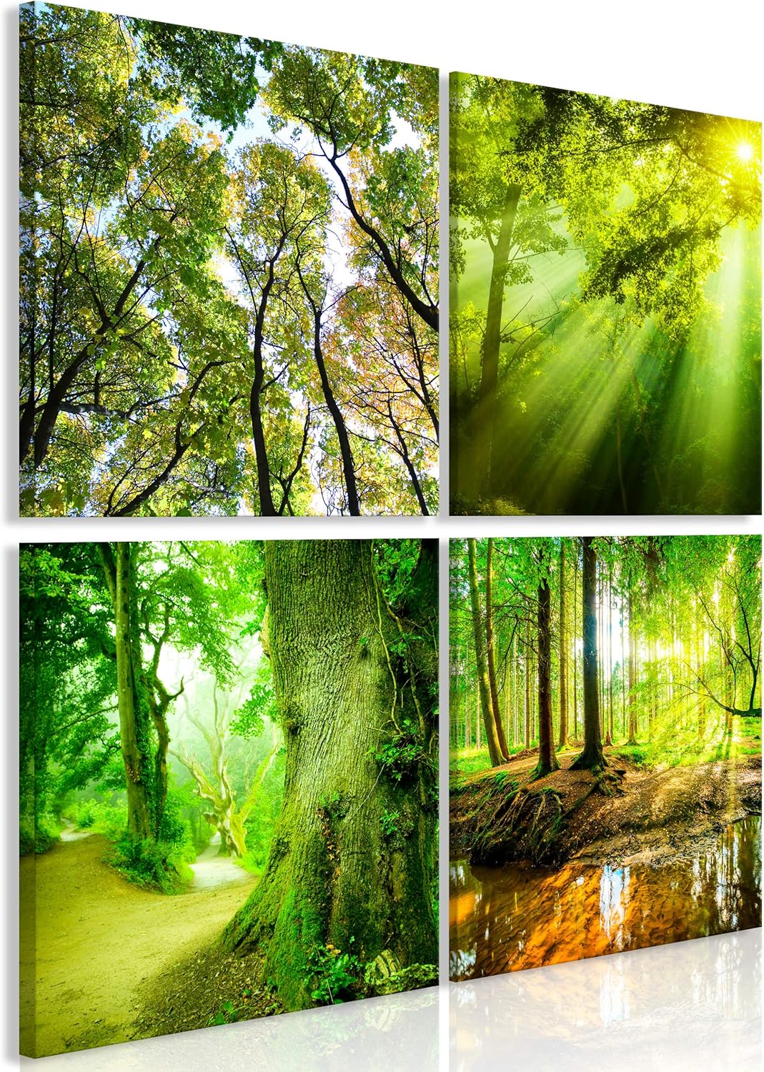 Amazon de Decomonkey Bilder Natur Wald 4 Teilig Jedes Teil 40x40 Cm Amazon de Decomonkey Bilder Natur Wald 4 Teilig Jedes Teil 40x40 Cm
