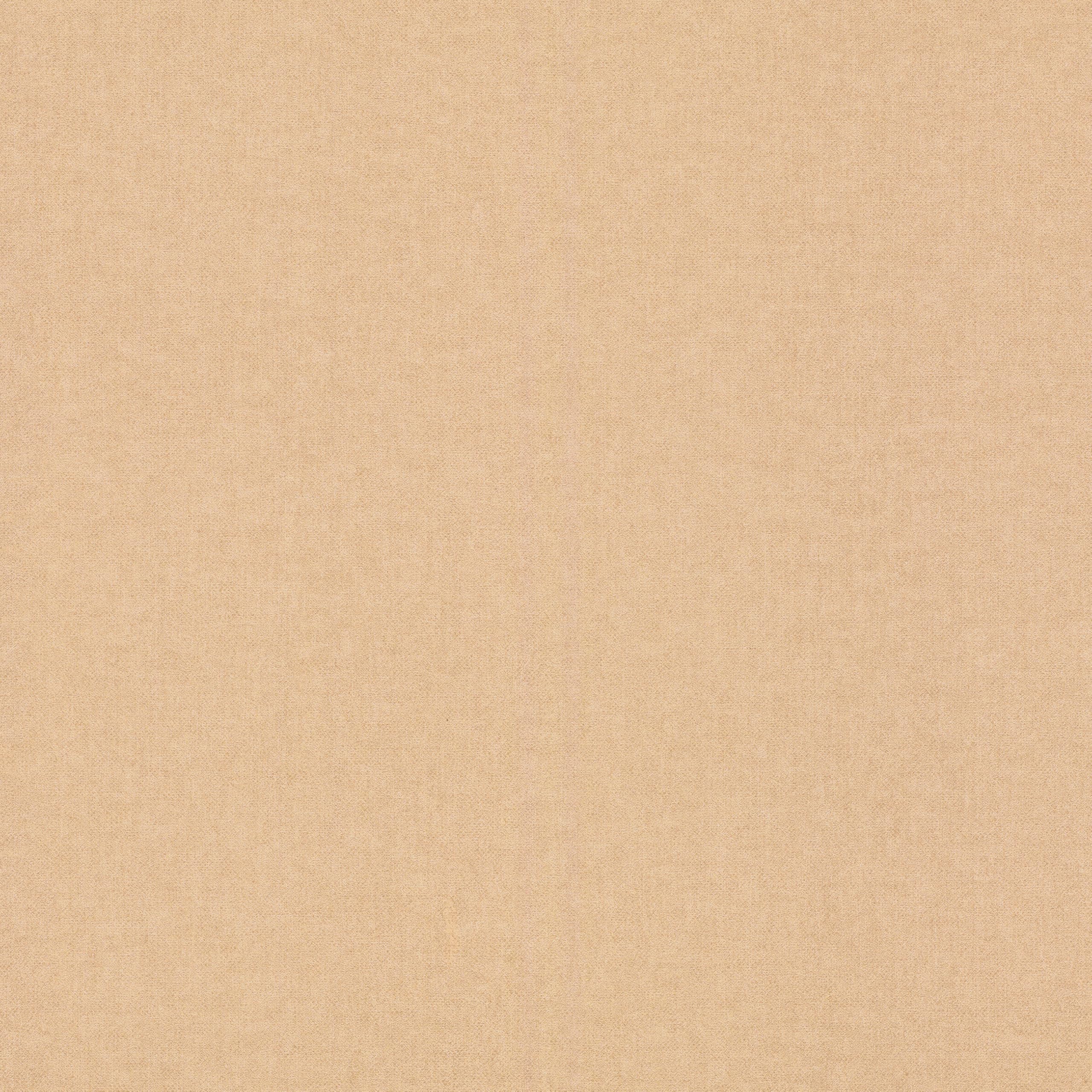 Rasch Brown Paperhangings Non Woven Wallpaper (Universell) 10,05 M X 0,53 M Bambino Xix 252866