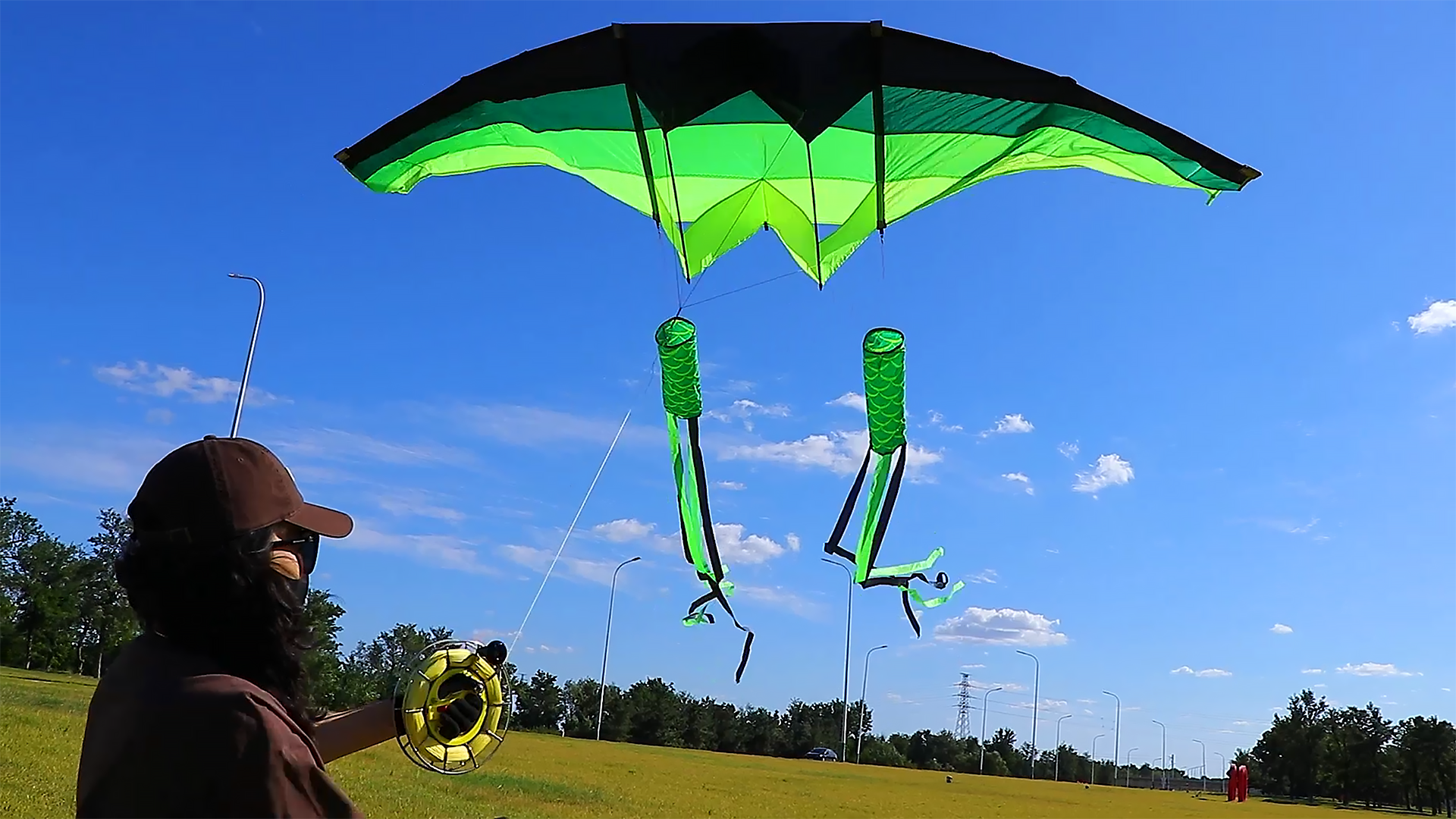 Amazon.com: TianYueFly Huge 3D Adult Gliders Kite, 120