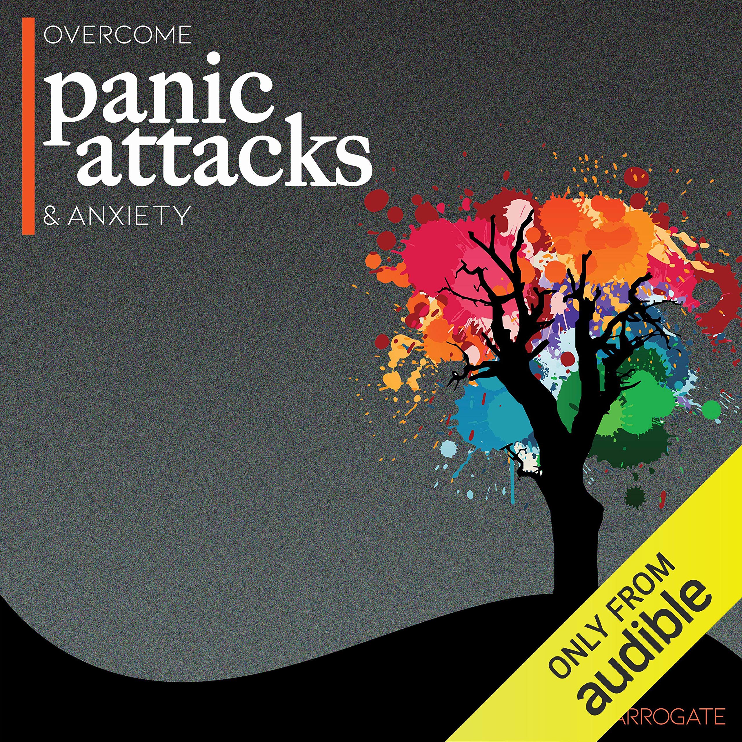 Cover art for Overcome Panic Attacks & Anxiety